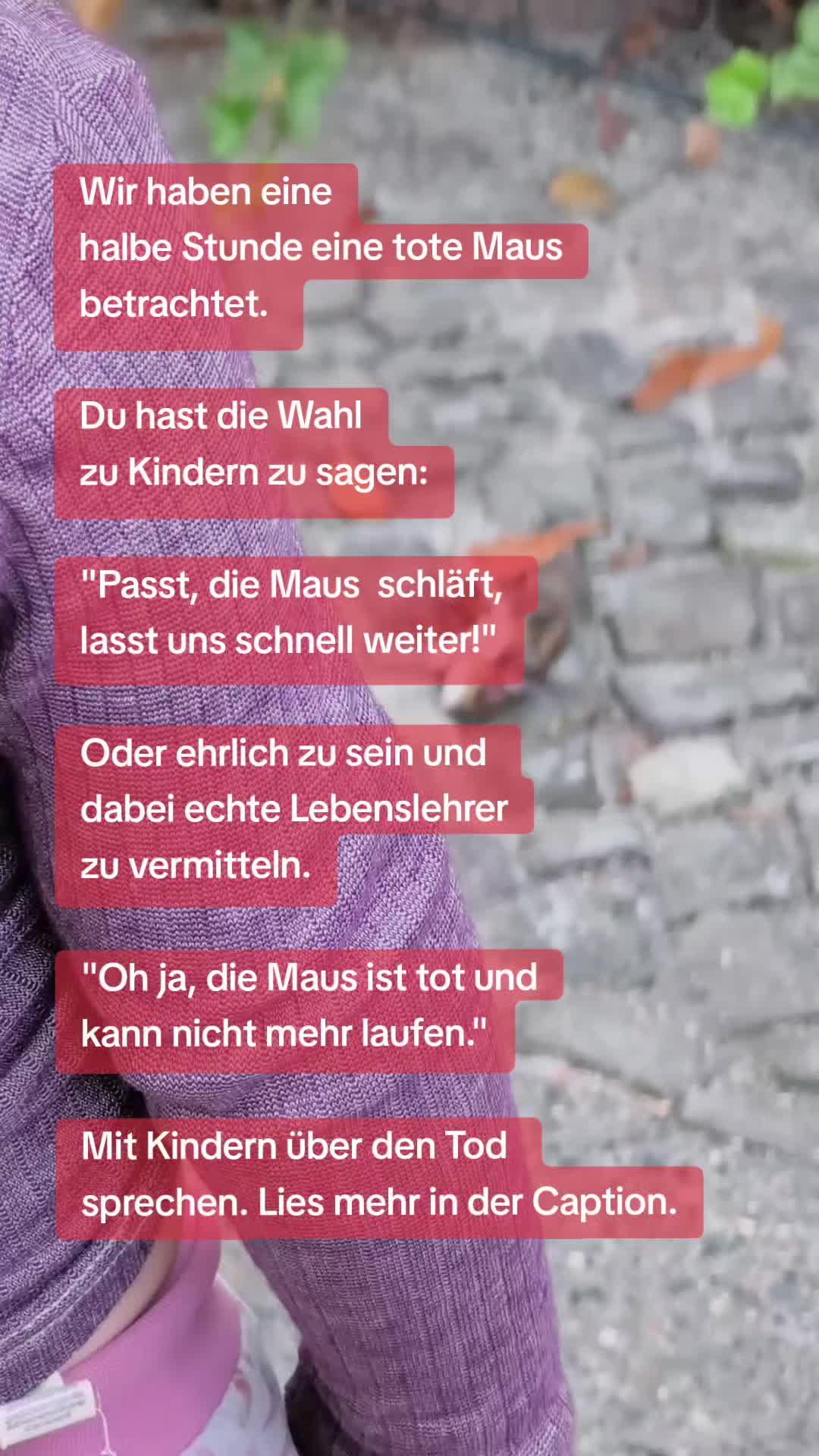 @Gewaltfreie_Kindheit_365