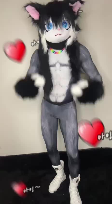 @Queer el gato🏳️🌈