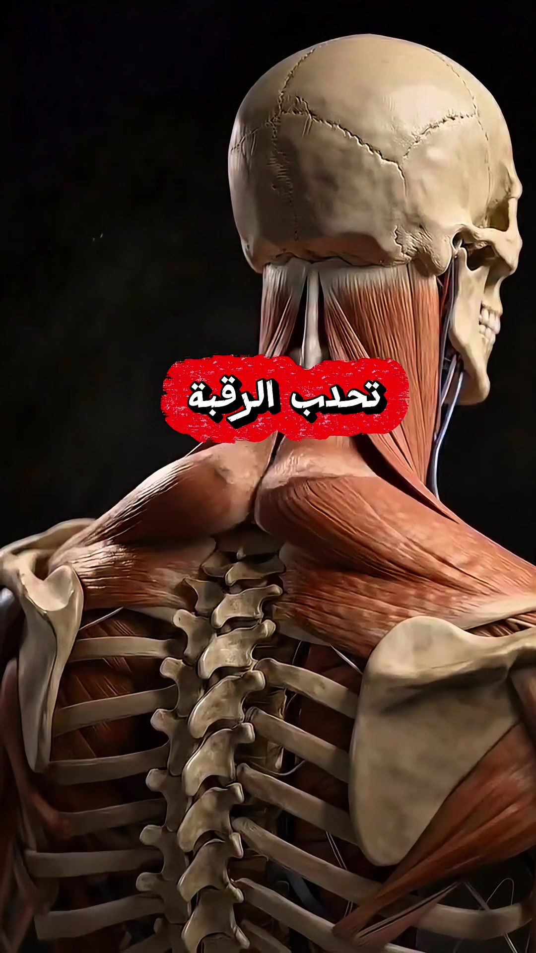 @طبيب تيك توك🩺💊💉