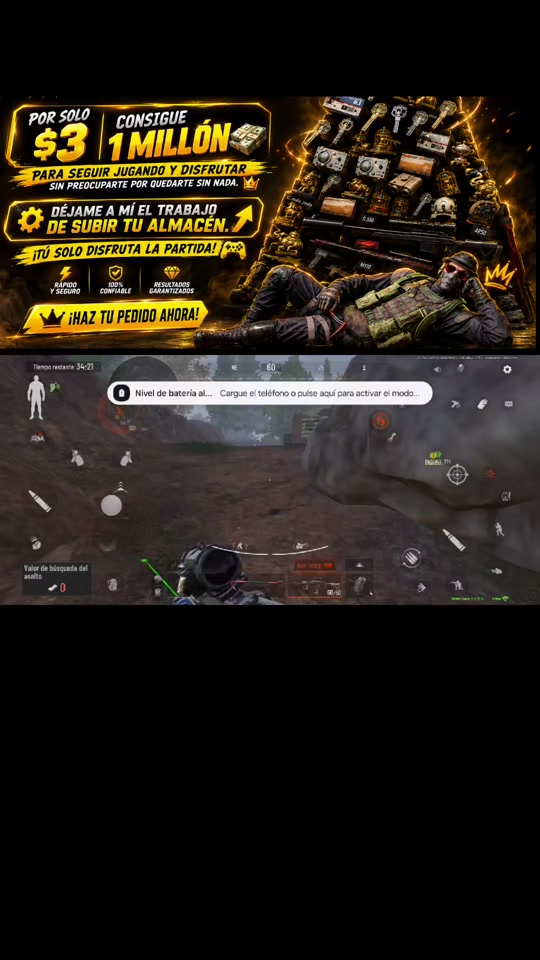 @gato de combate
