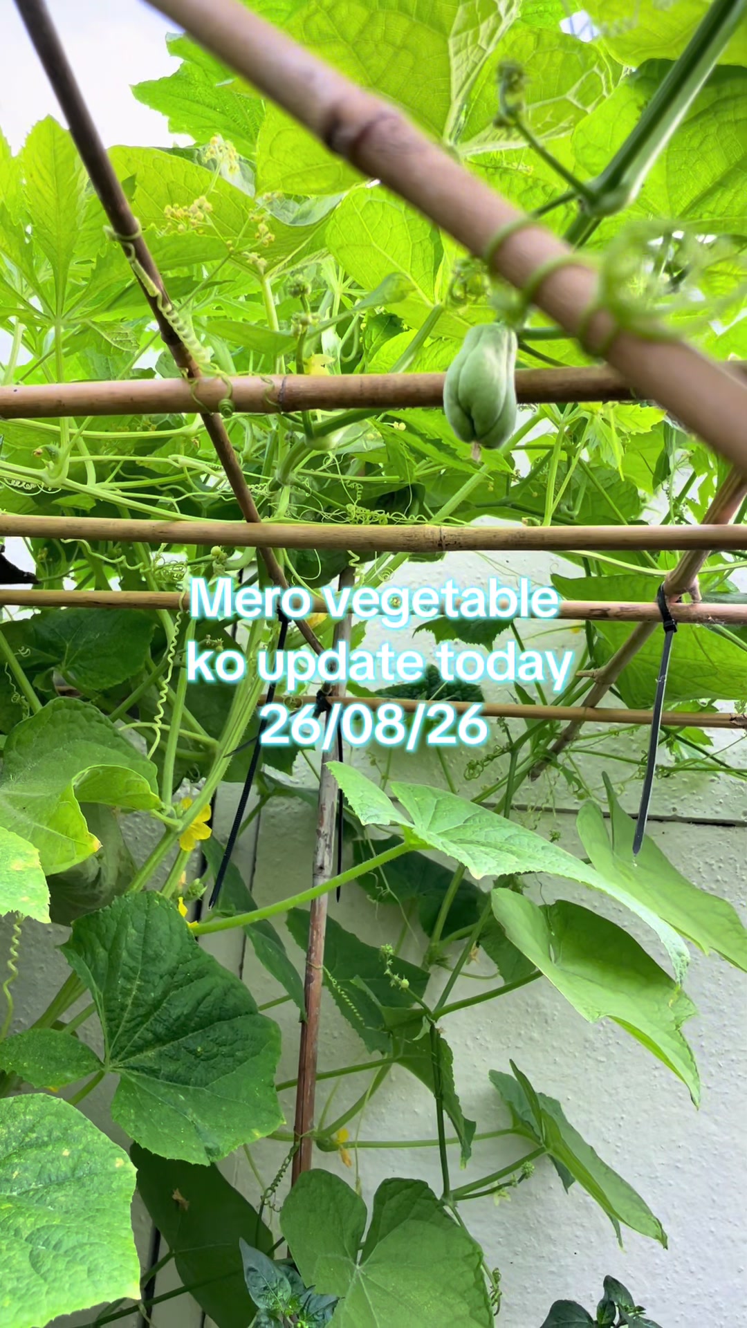 @SP