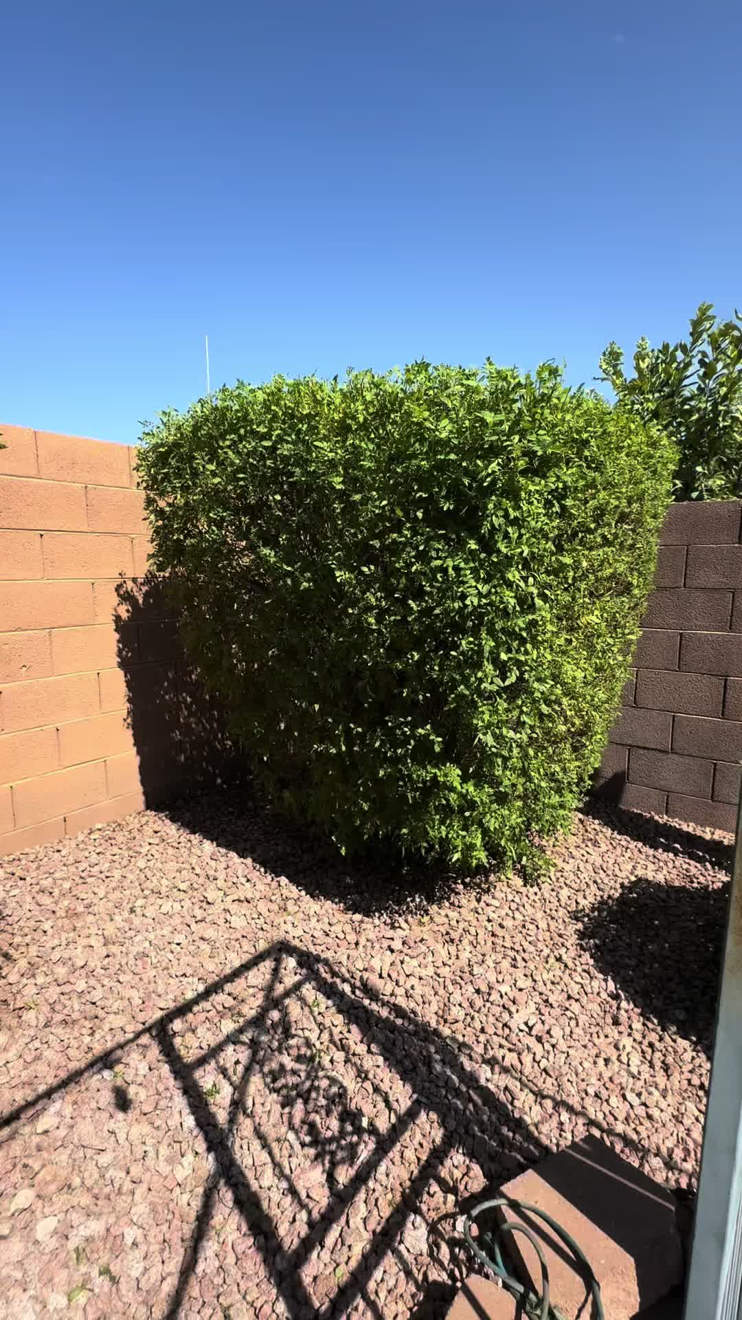 @landscaping