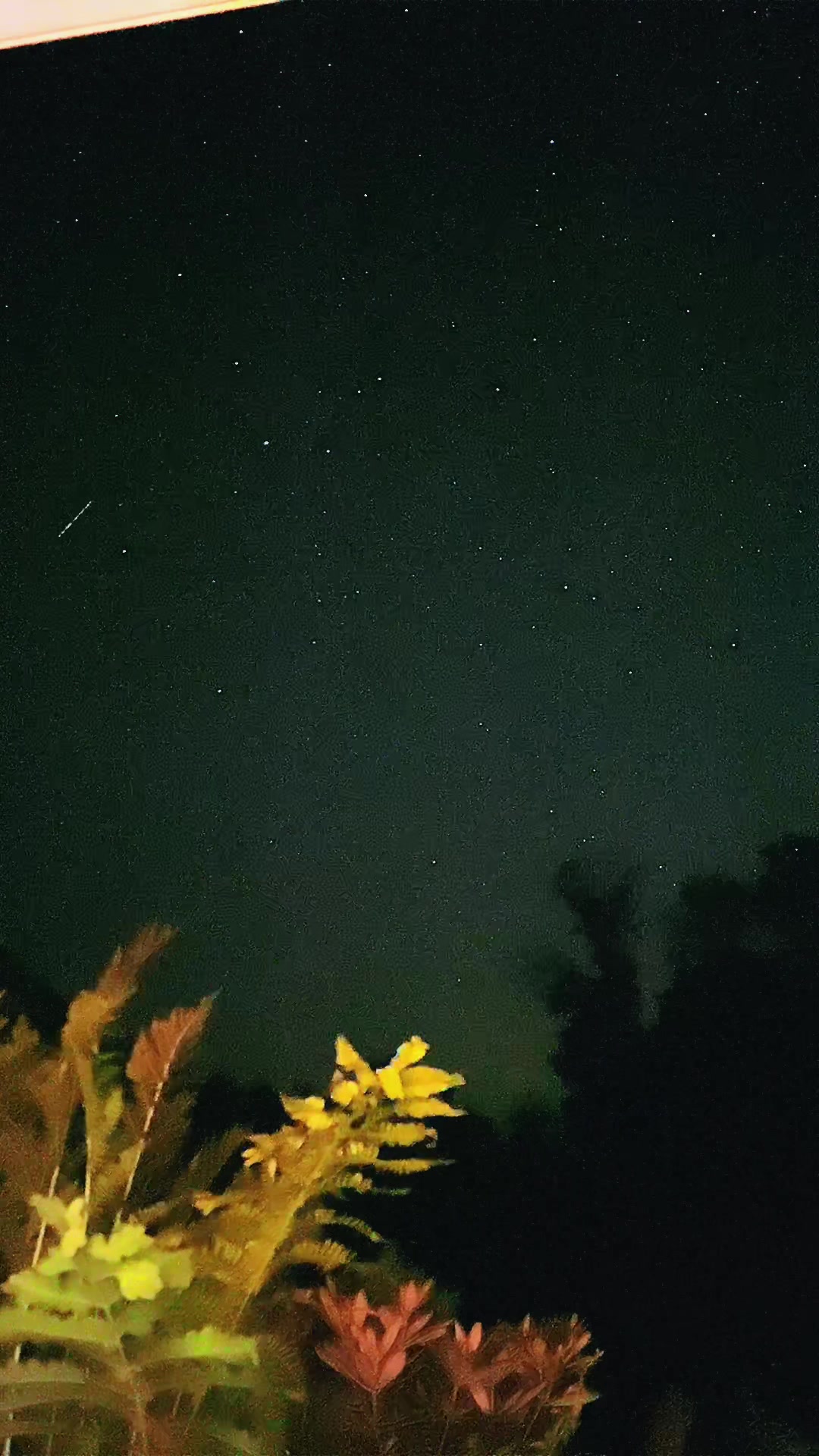 @Interstellar_Mel👽🛸🧿