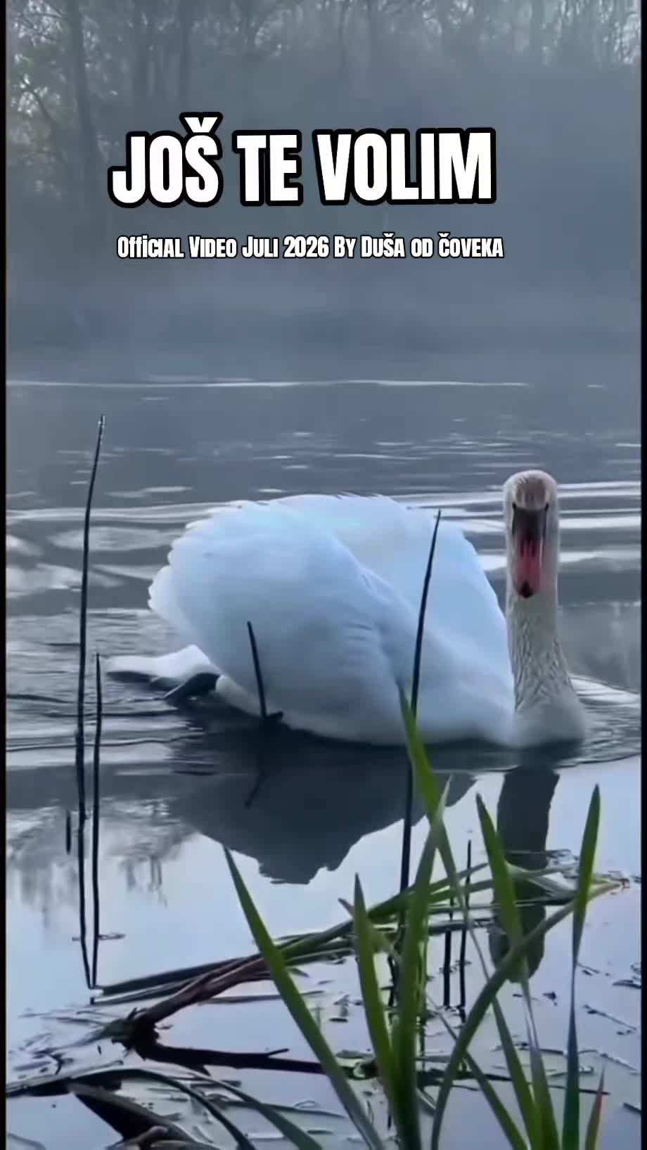 @💙Duša od čoveka💙