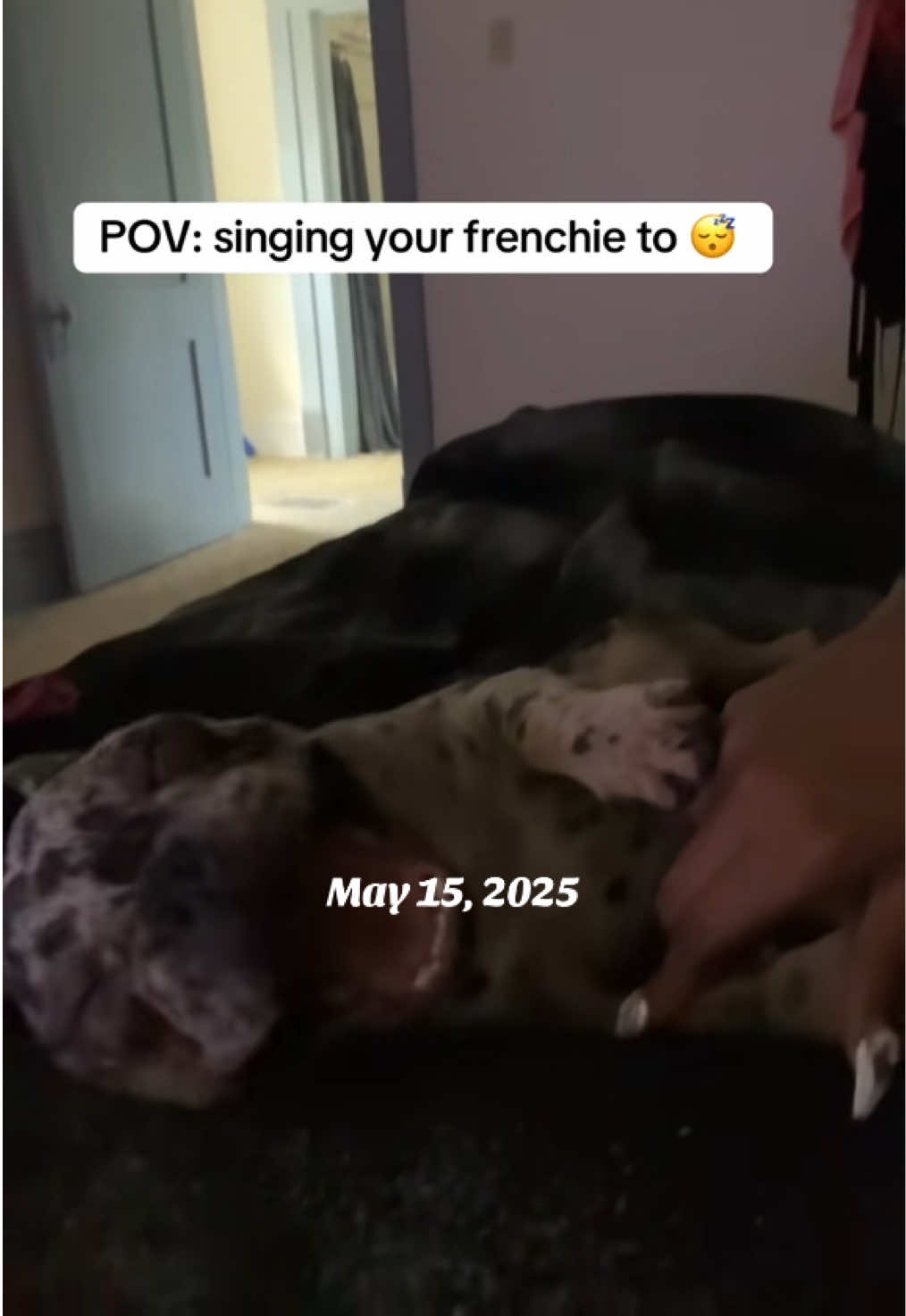 @Yᗩ ᖴᗩᐯ ᒪEO🥵