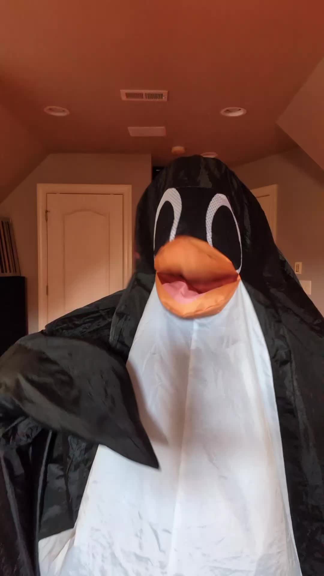 @Flipper