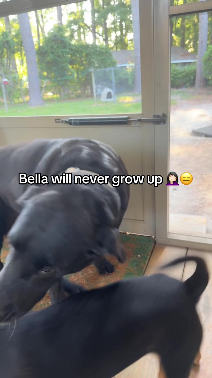 @weldergirl