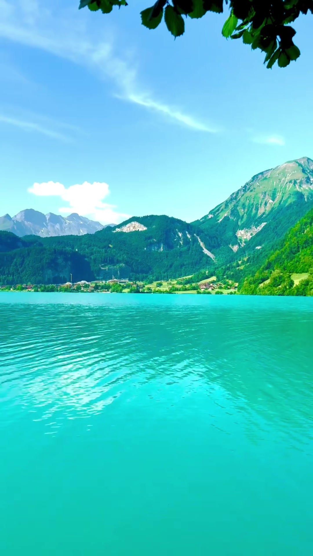 @S̳w̳i̳s̳s̳🇨🇭s̳c̳h̳w̳e̳i̳z̳