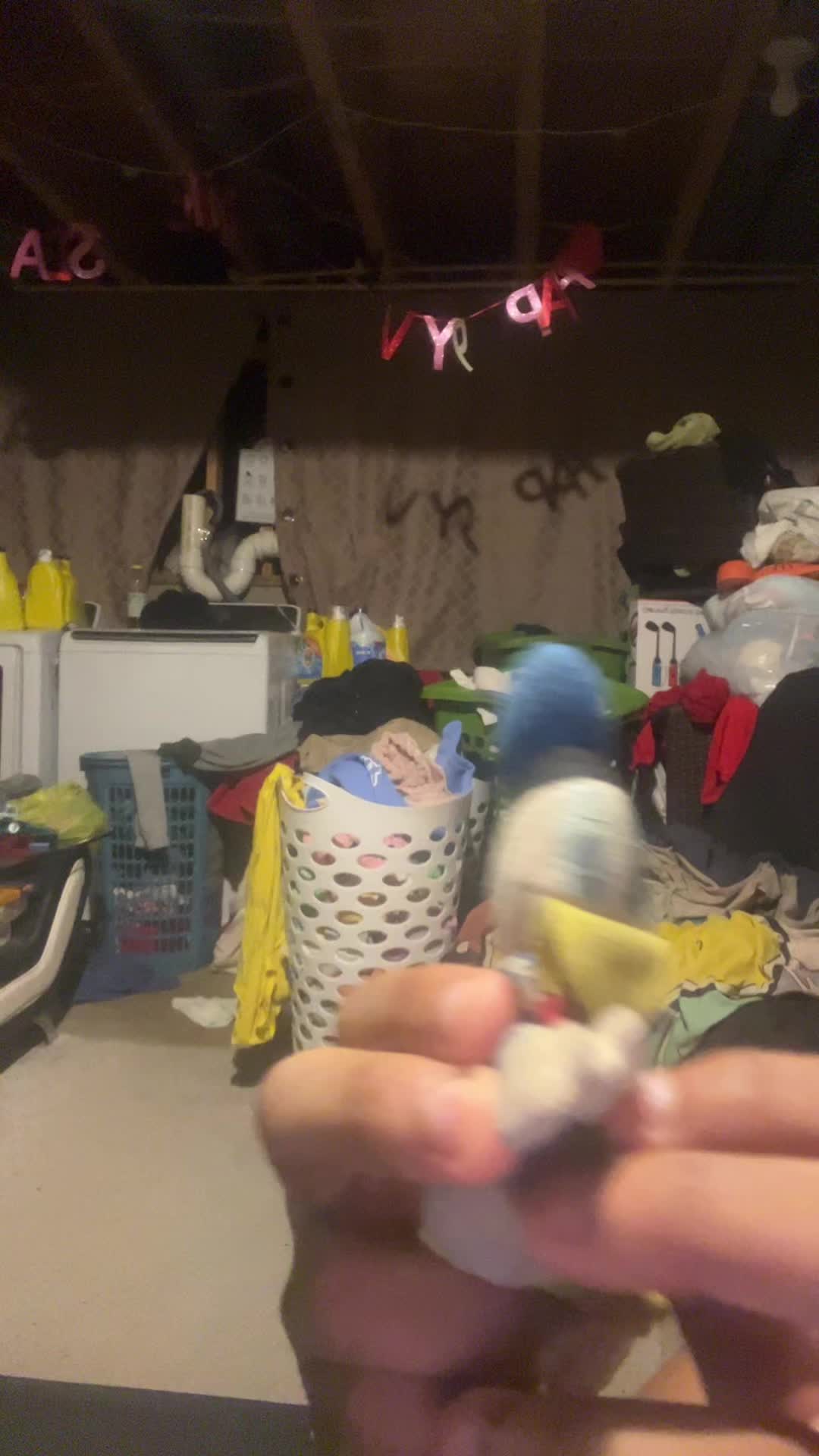 @Donald Duck