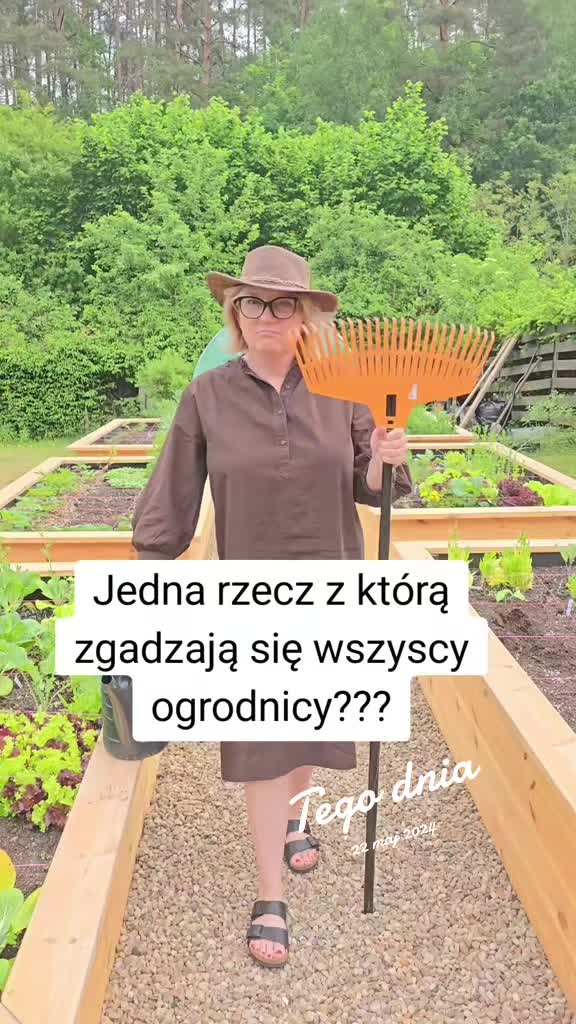 @Sylwia