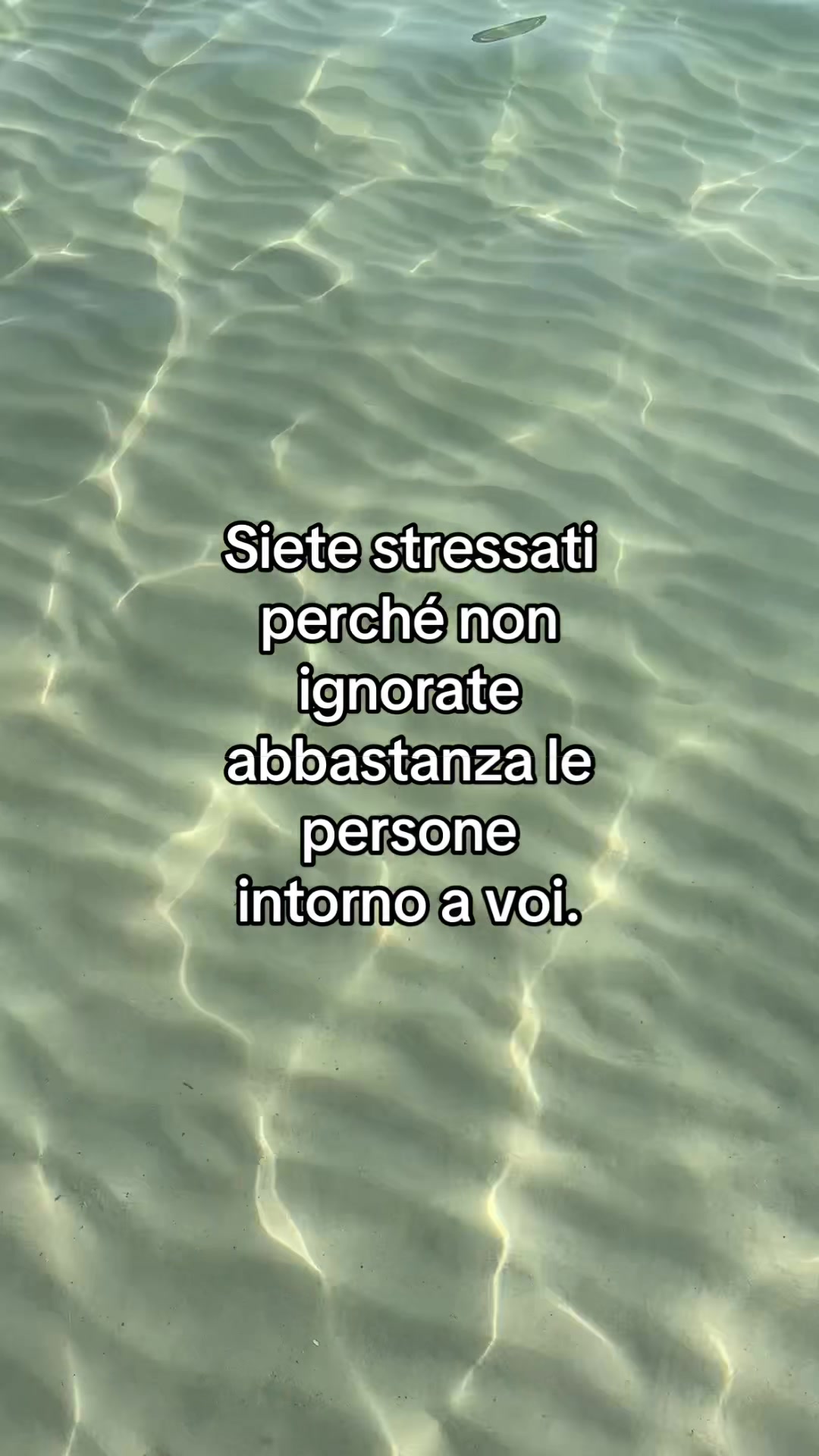 @manueldipietroo