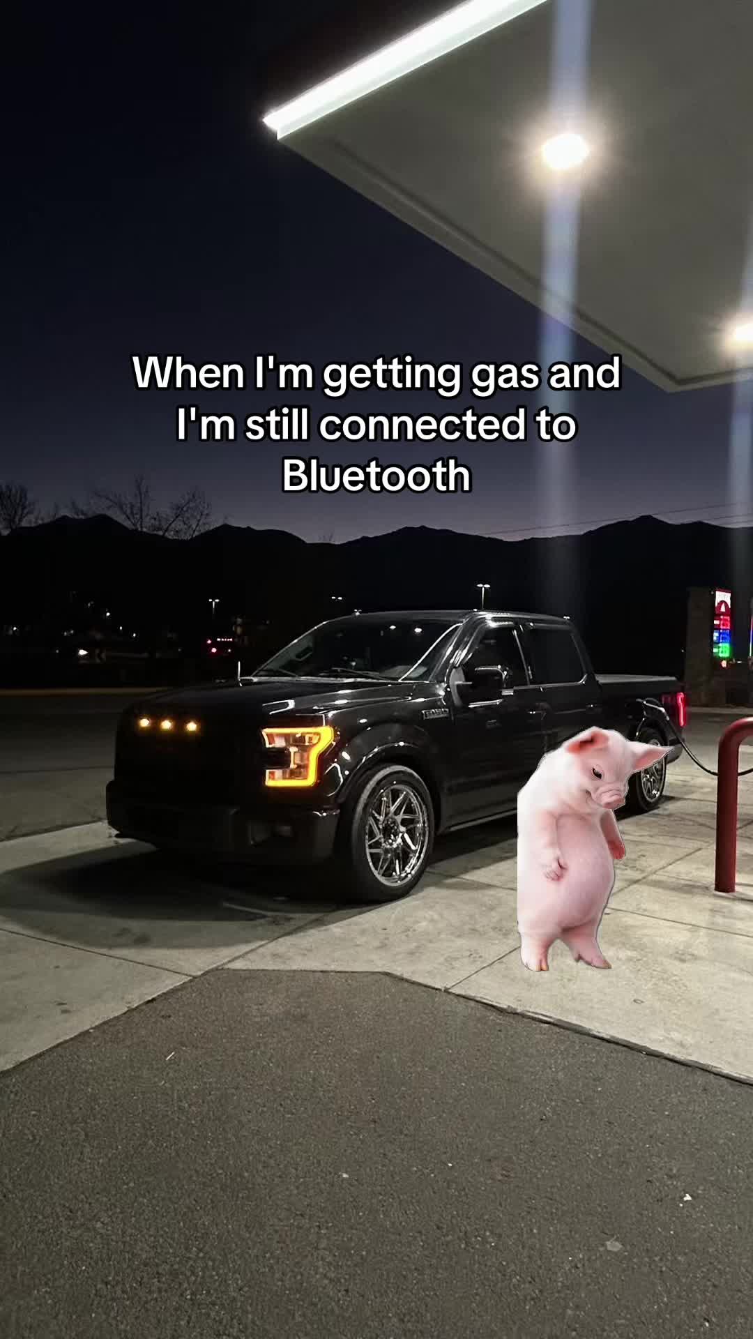 @𝕸𝕾𝕳