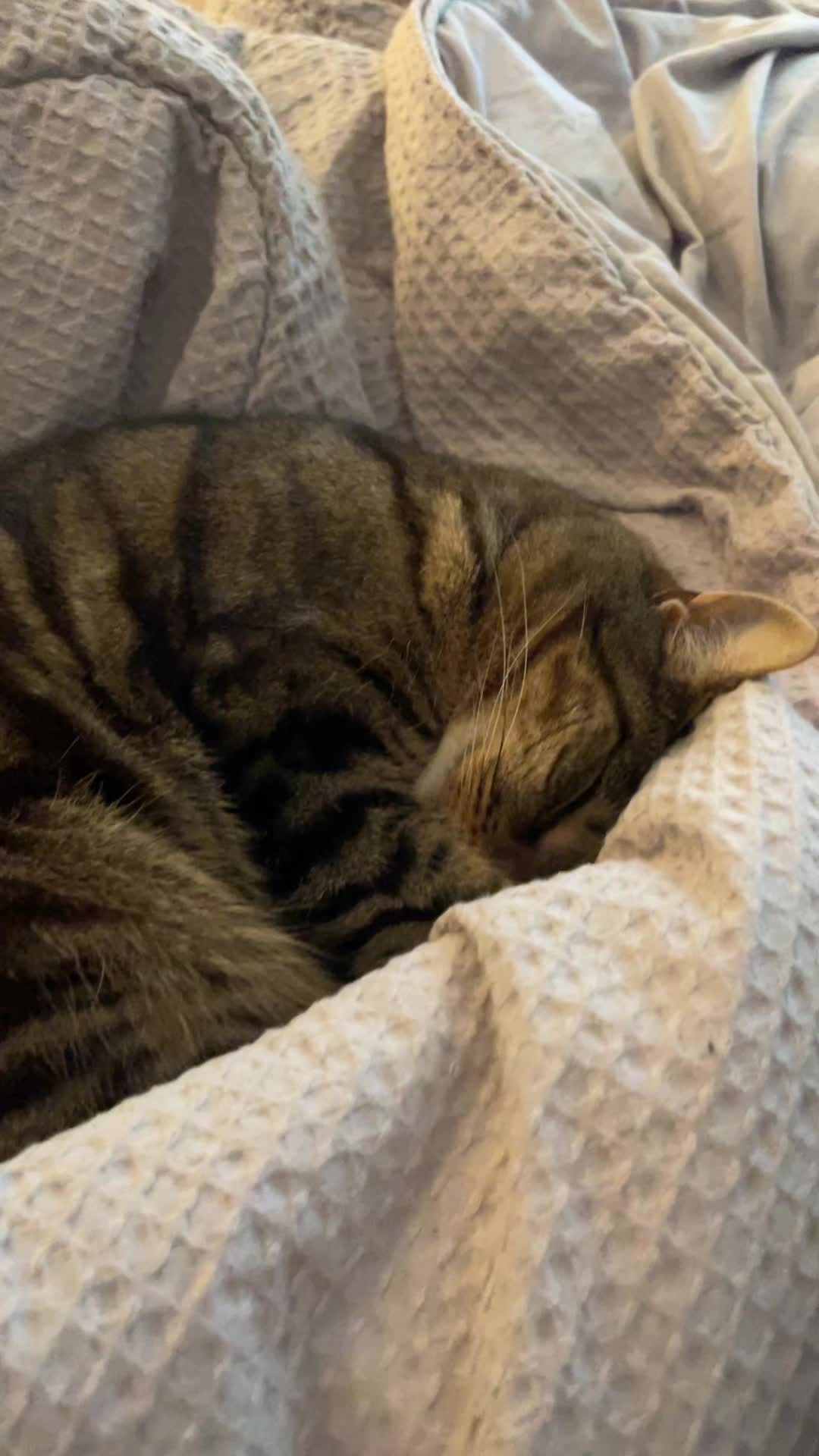 @Natasha Fraser
