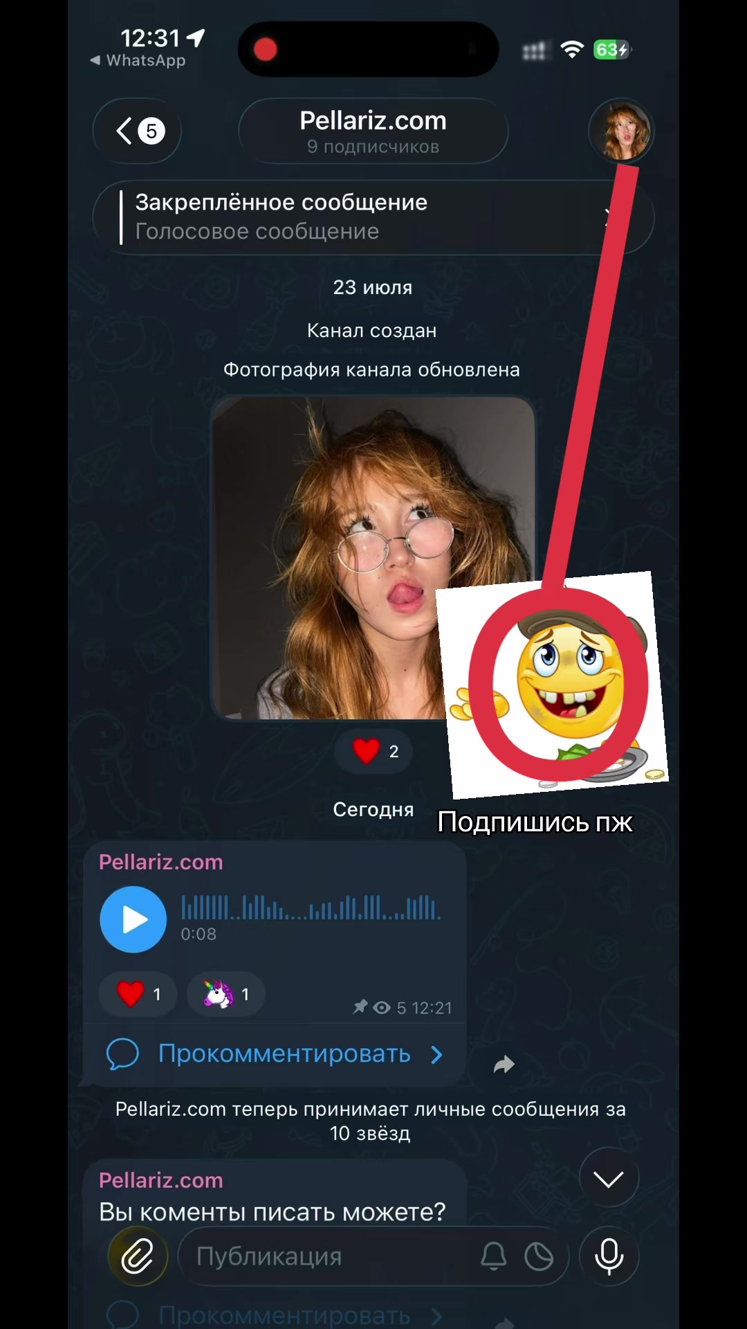 @Pellariz