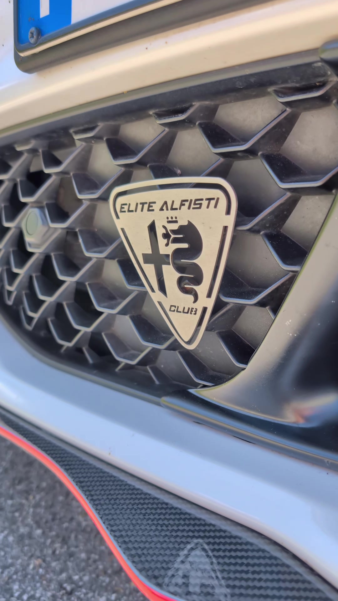 @Elite Alfisti Club
