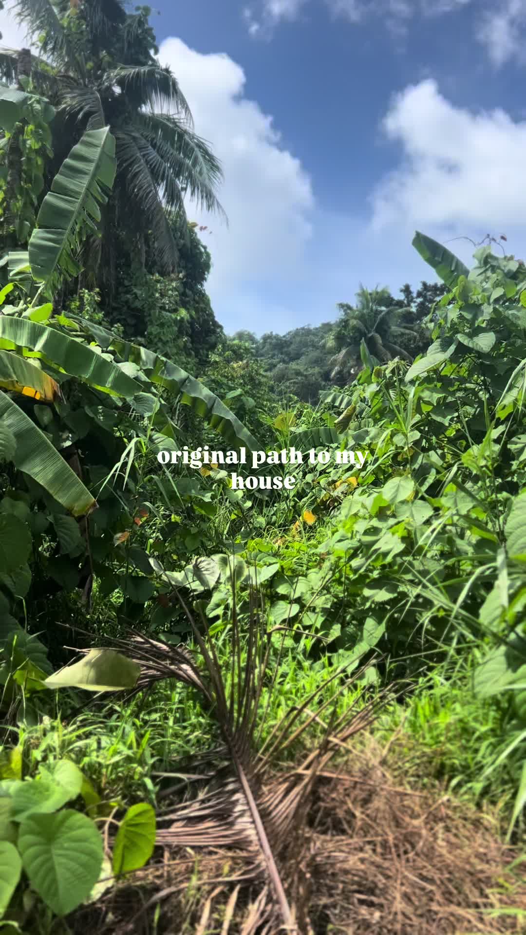 @SyLein👩🏻🍳🇫🇲