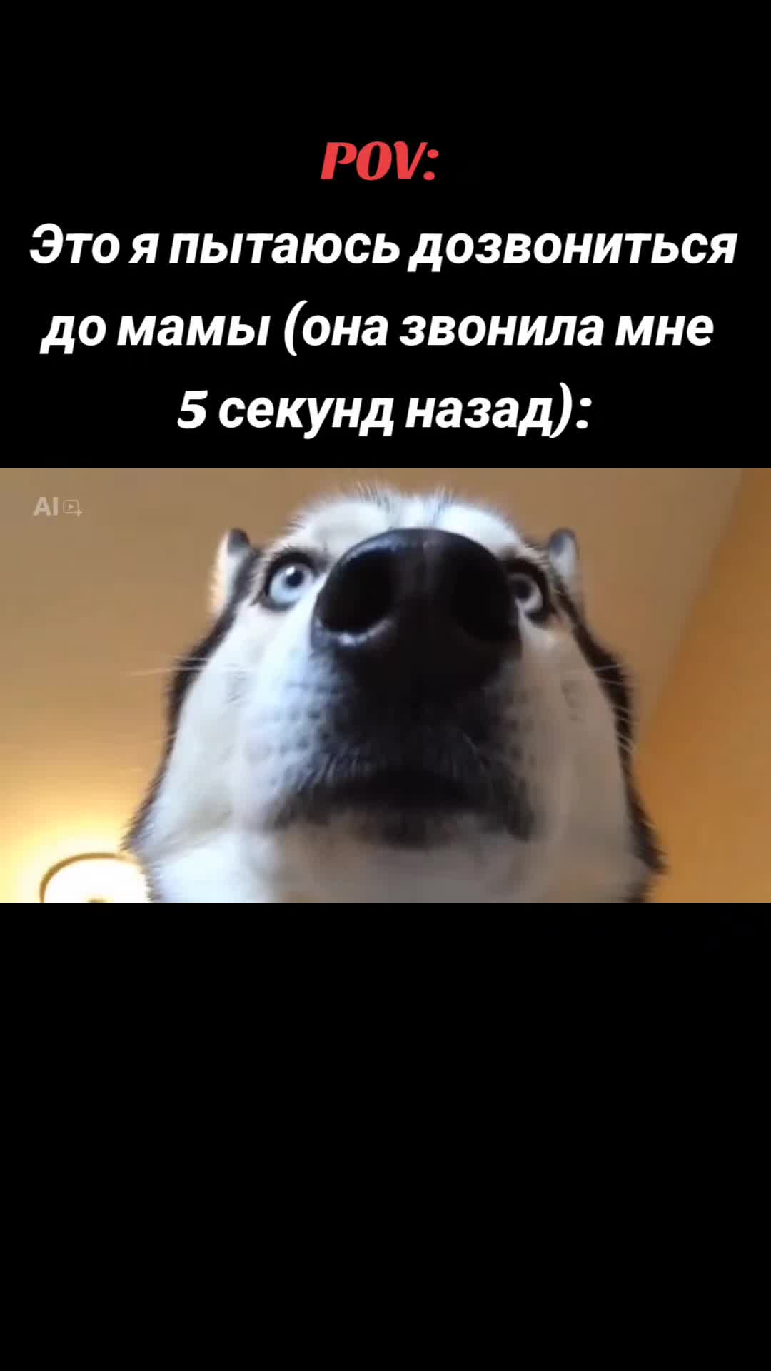 @Yaroslaff🌟