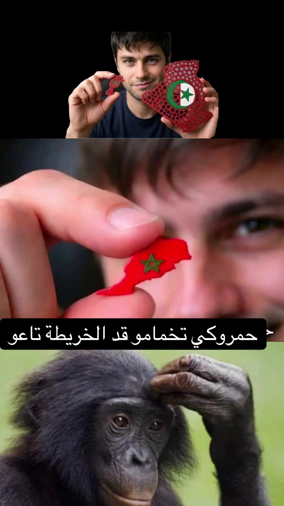 @algerianews99