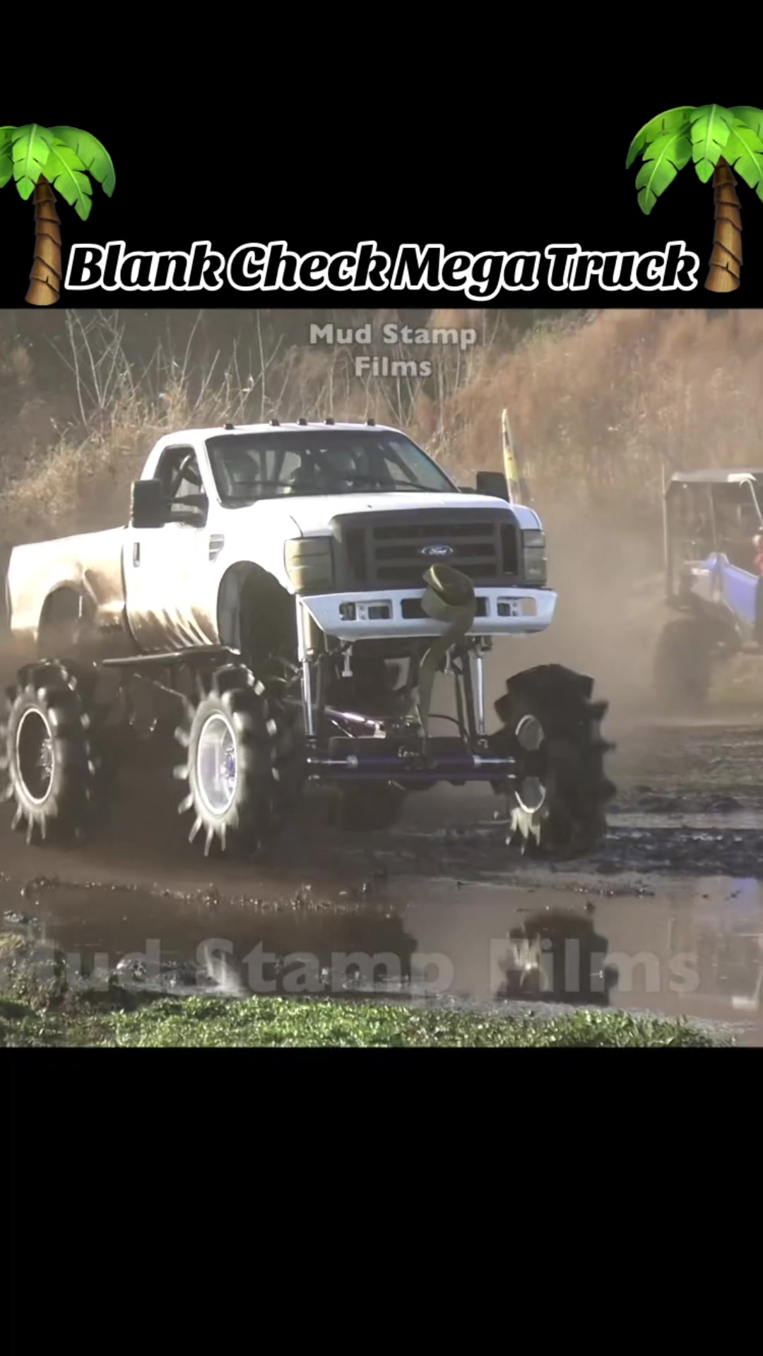 @Mud Stamp Films