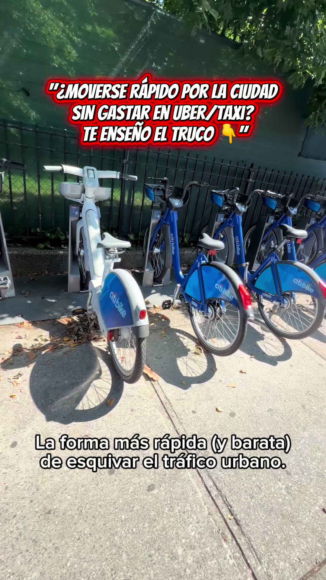 @Fit Sin Excusas 2026