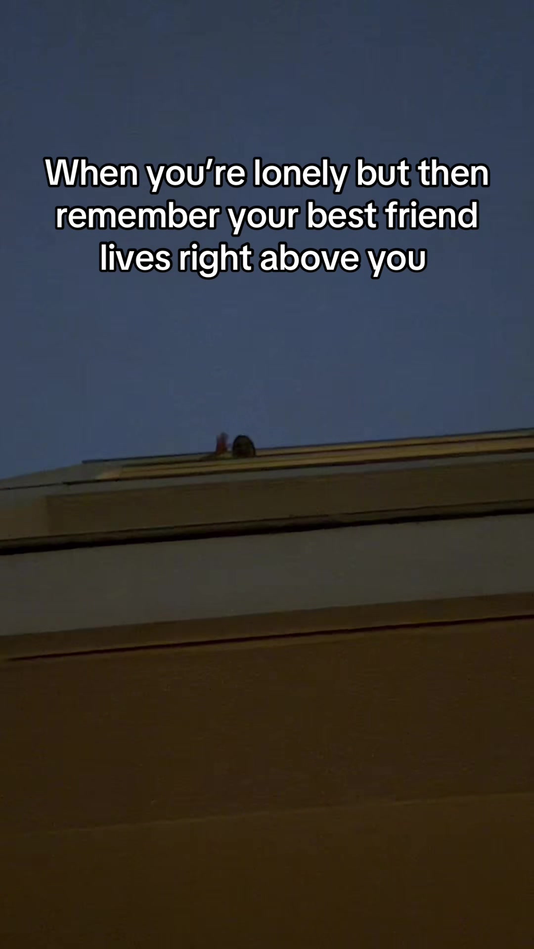 @Kat