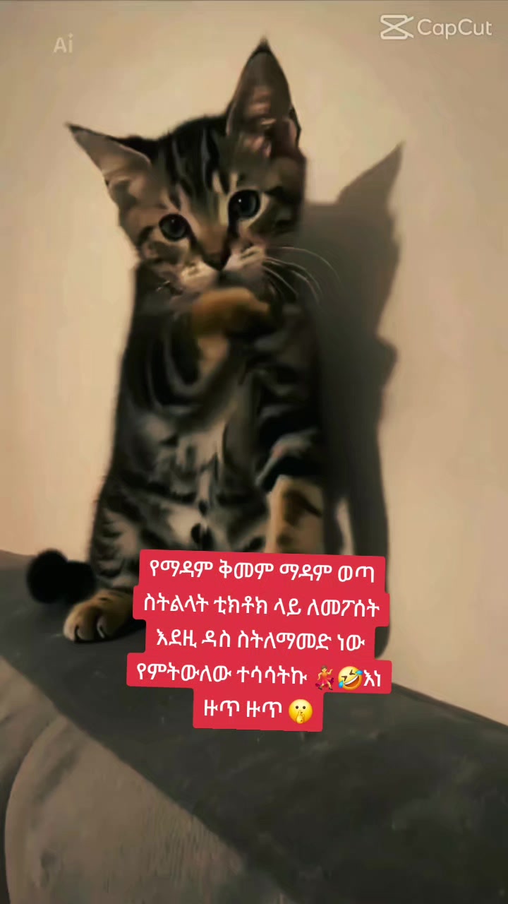 @➾My ⏮🦋love ➣⏮mama ➺🔥