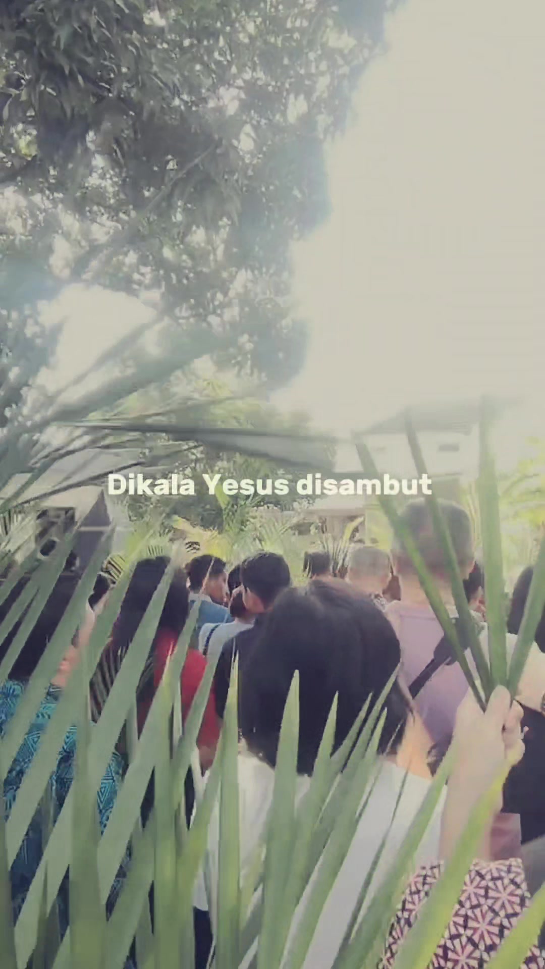 @sang_kaktus🌵