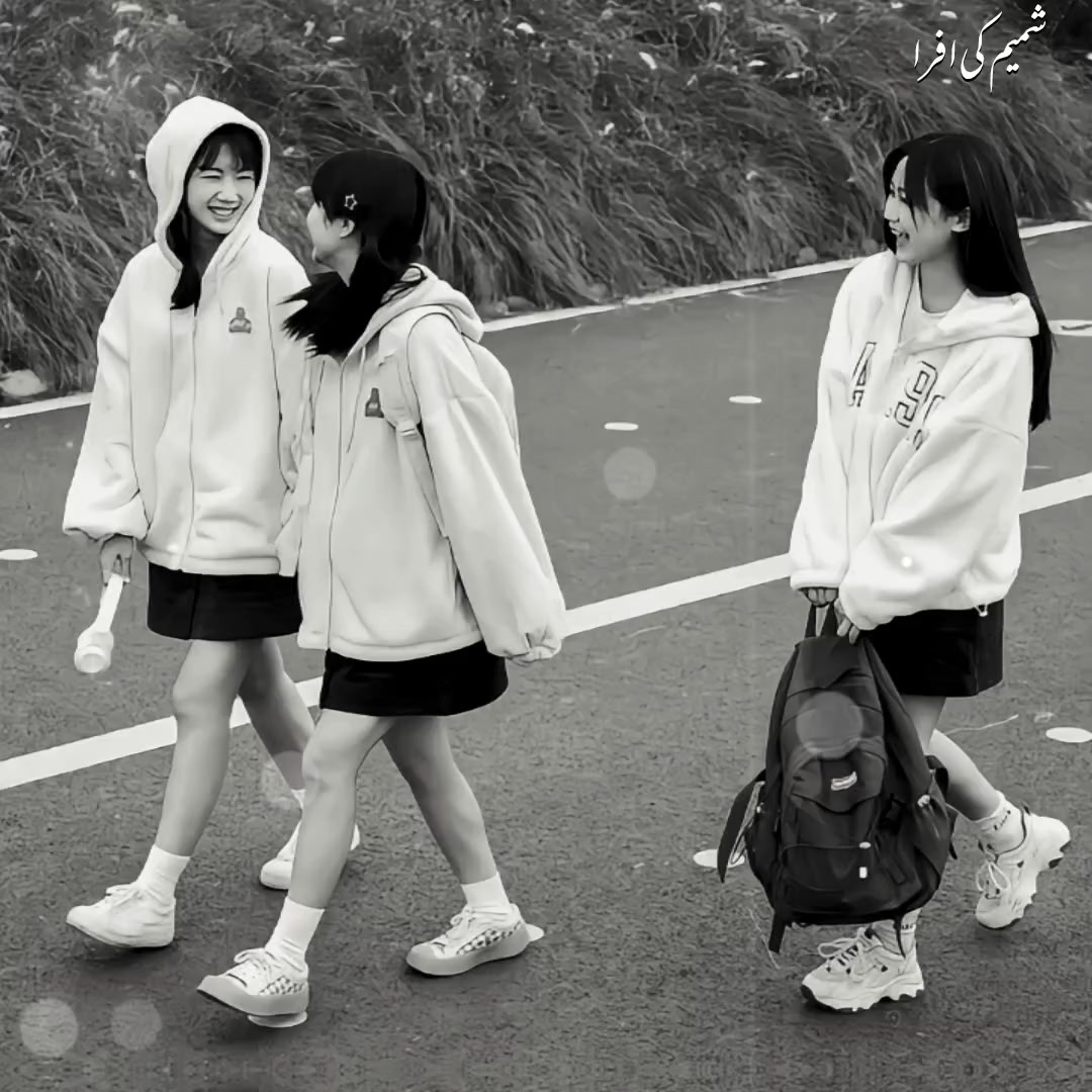 @โ.๐ ฬ๐๐โ ๐โ๐ธ๐๐ผ๐ผ๐ ๐งธเฝฒเพ