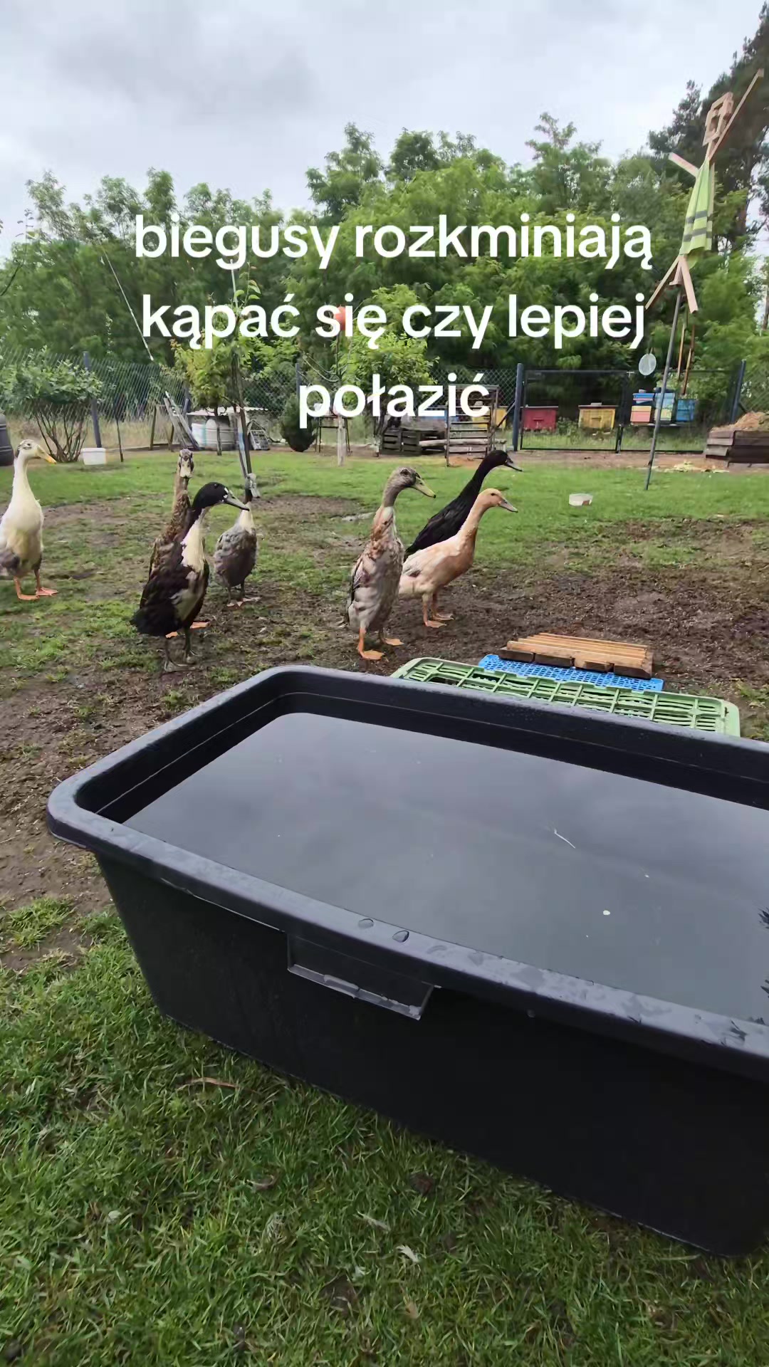 @Michael🇵🇱