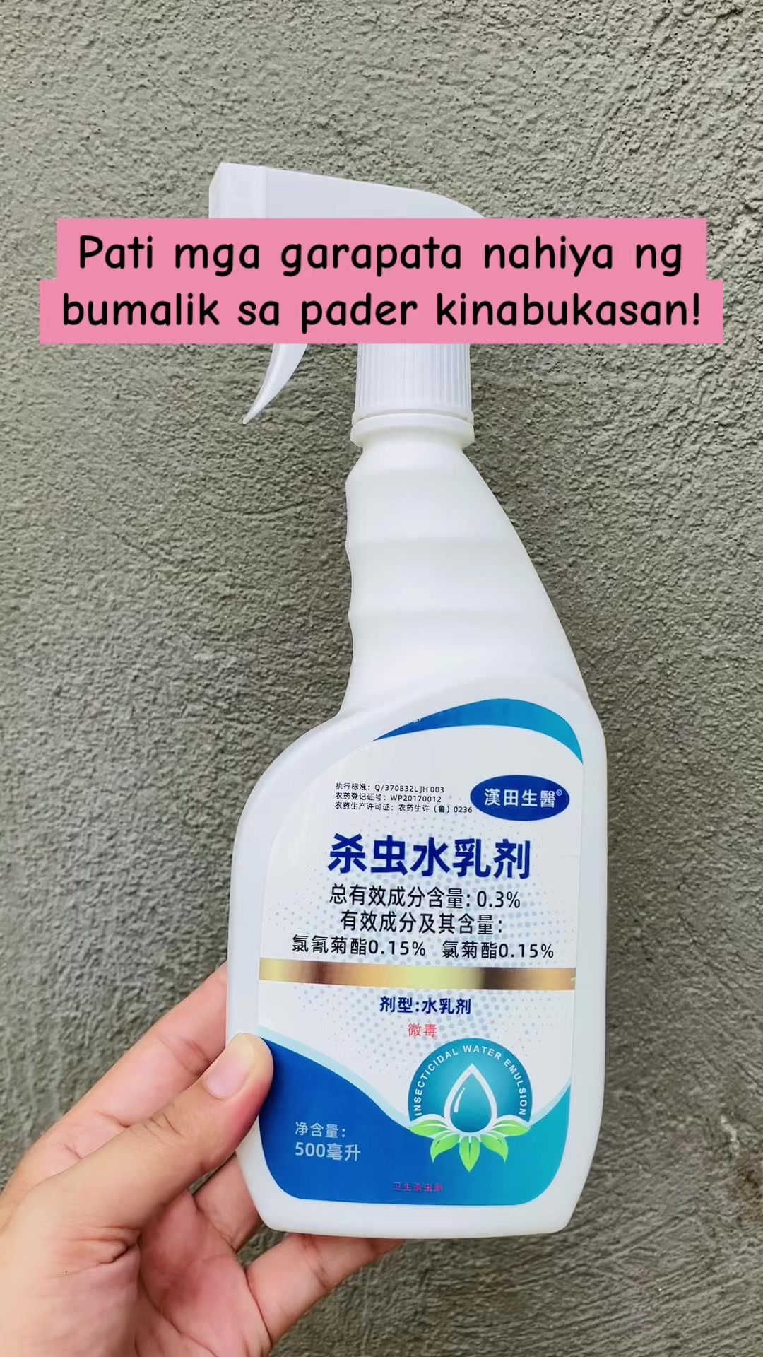 @ๅ็ฆ ๐ต๐ญ๐น๐ผ