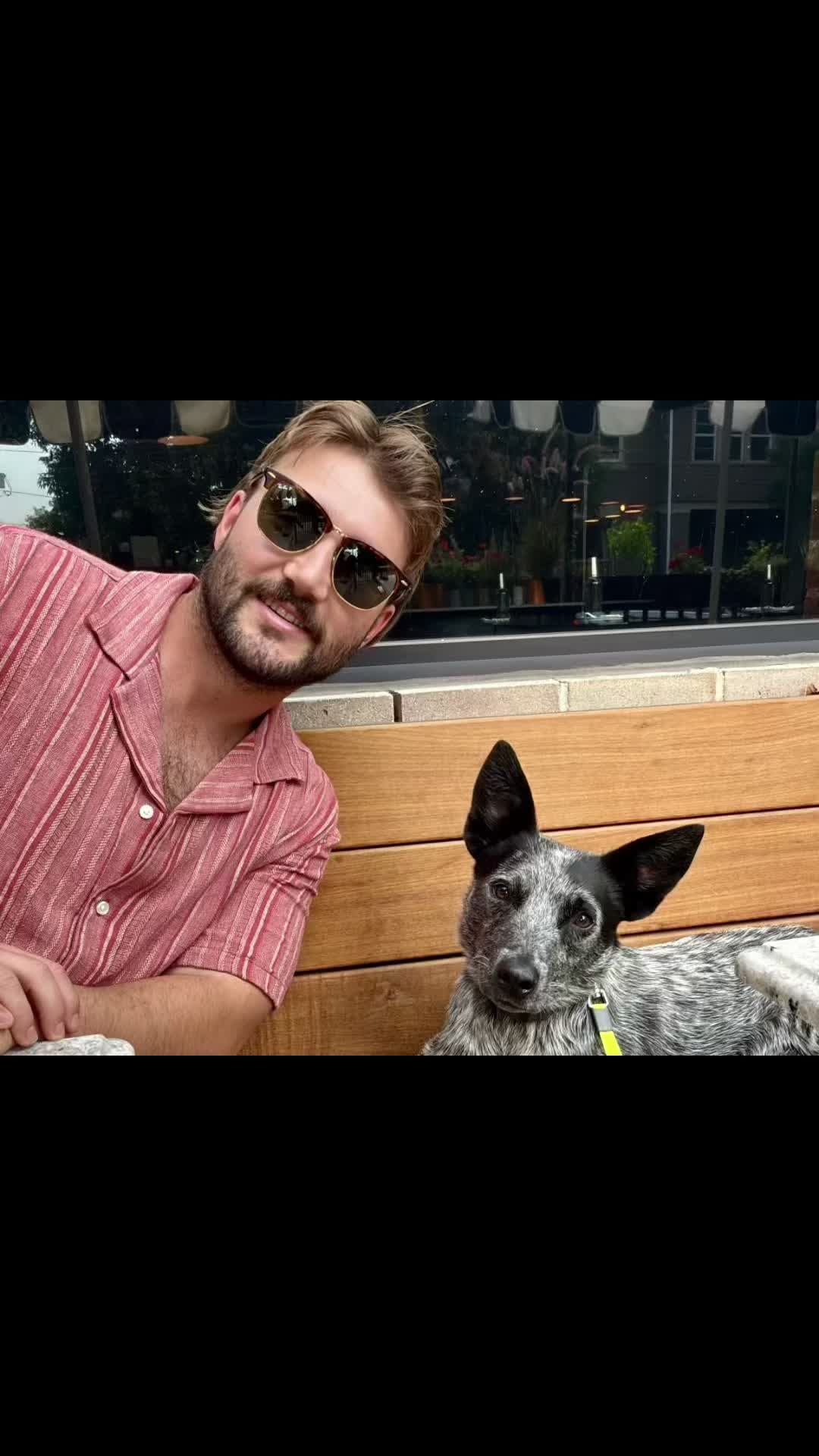 @forthedogs