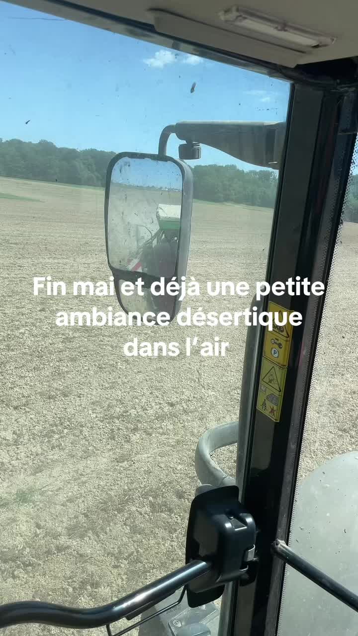 @David
