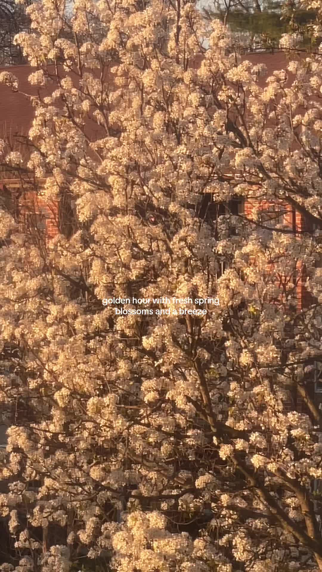 @A