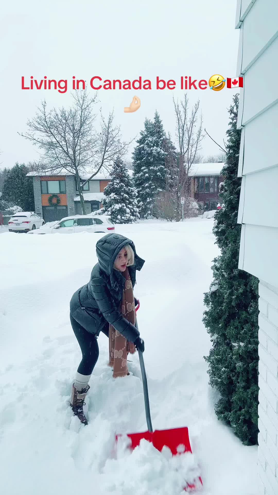 @Manelllllll