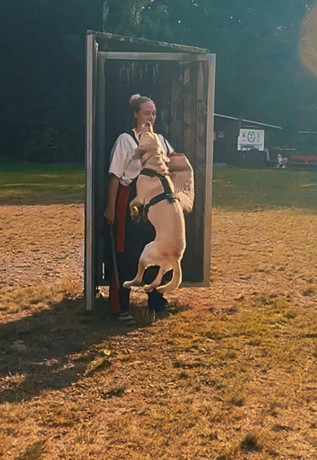 @harzerhunde