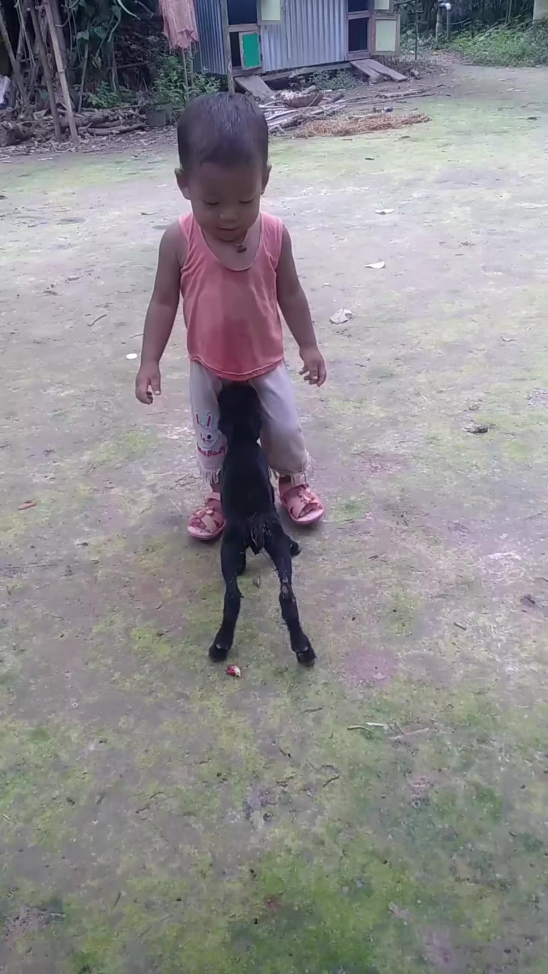 @😭😭😭