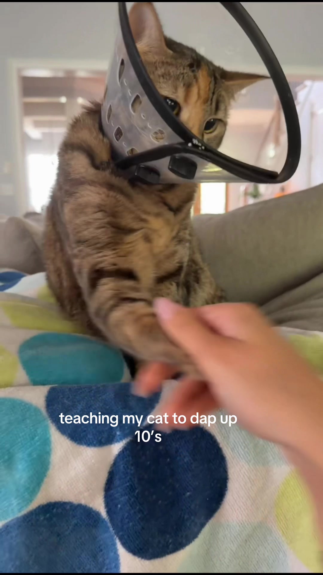 @Tori
