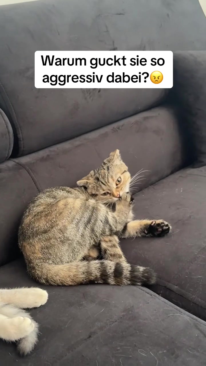 @Divaurteilt