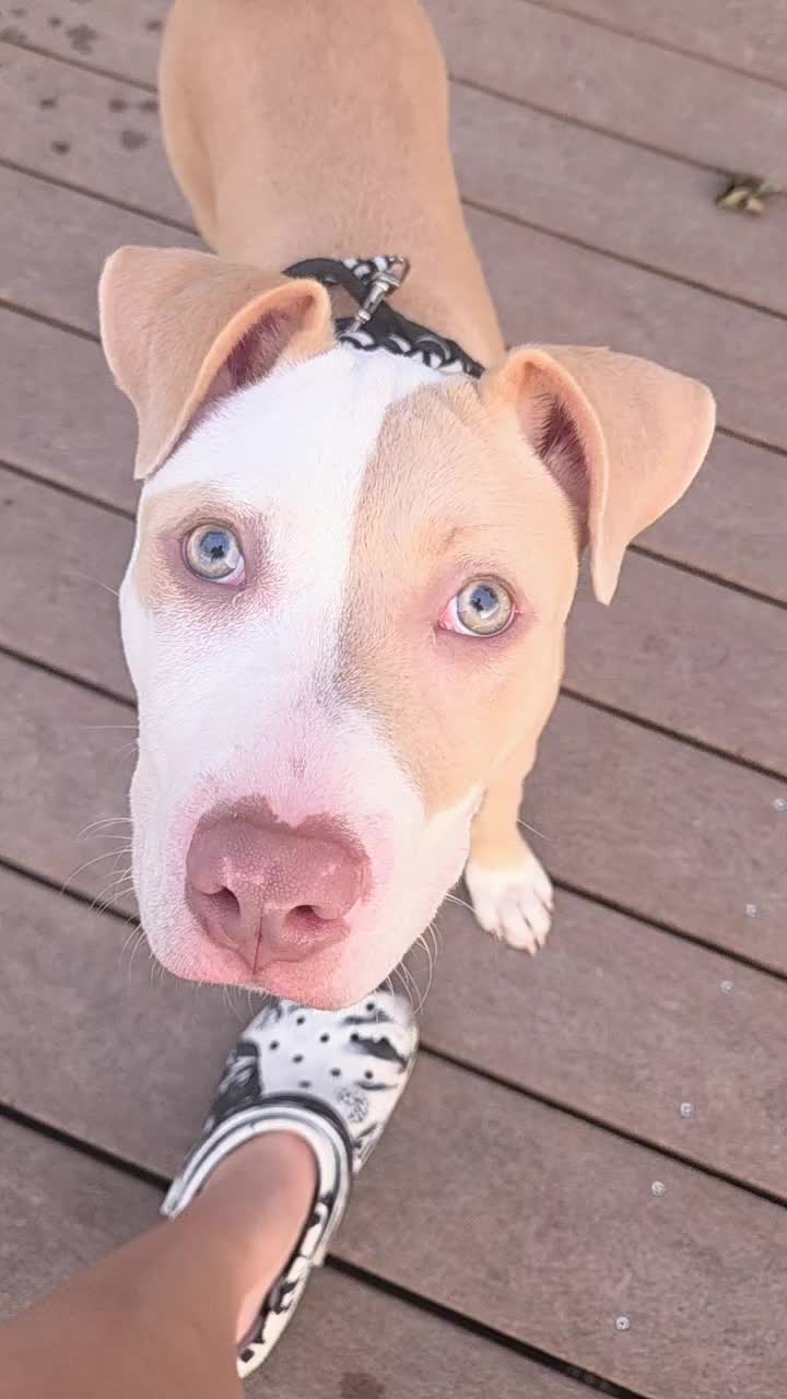 @Becca