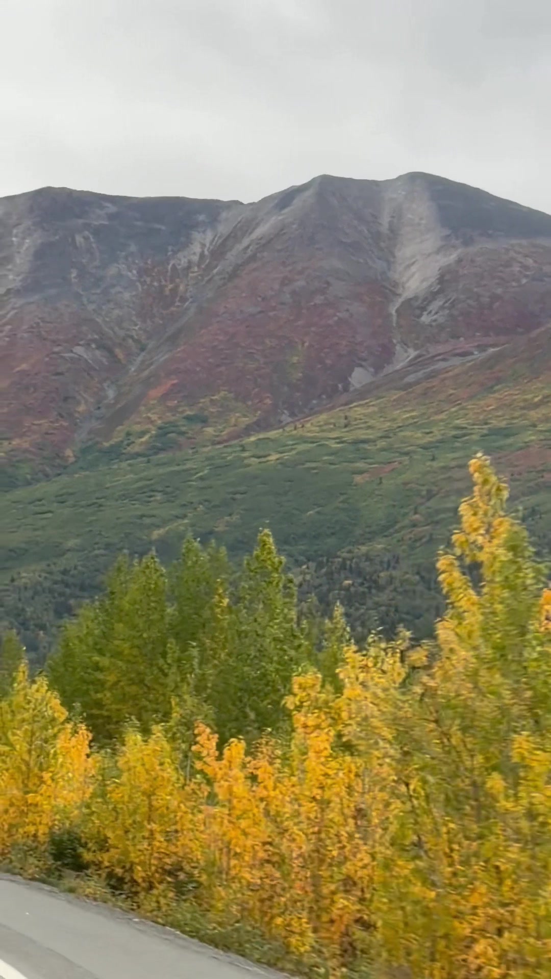 @USA Alaska життя навколо мене
