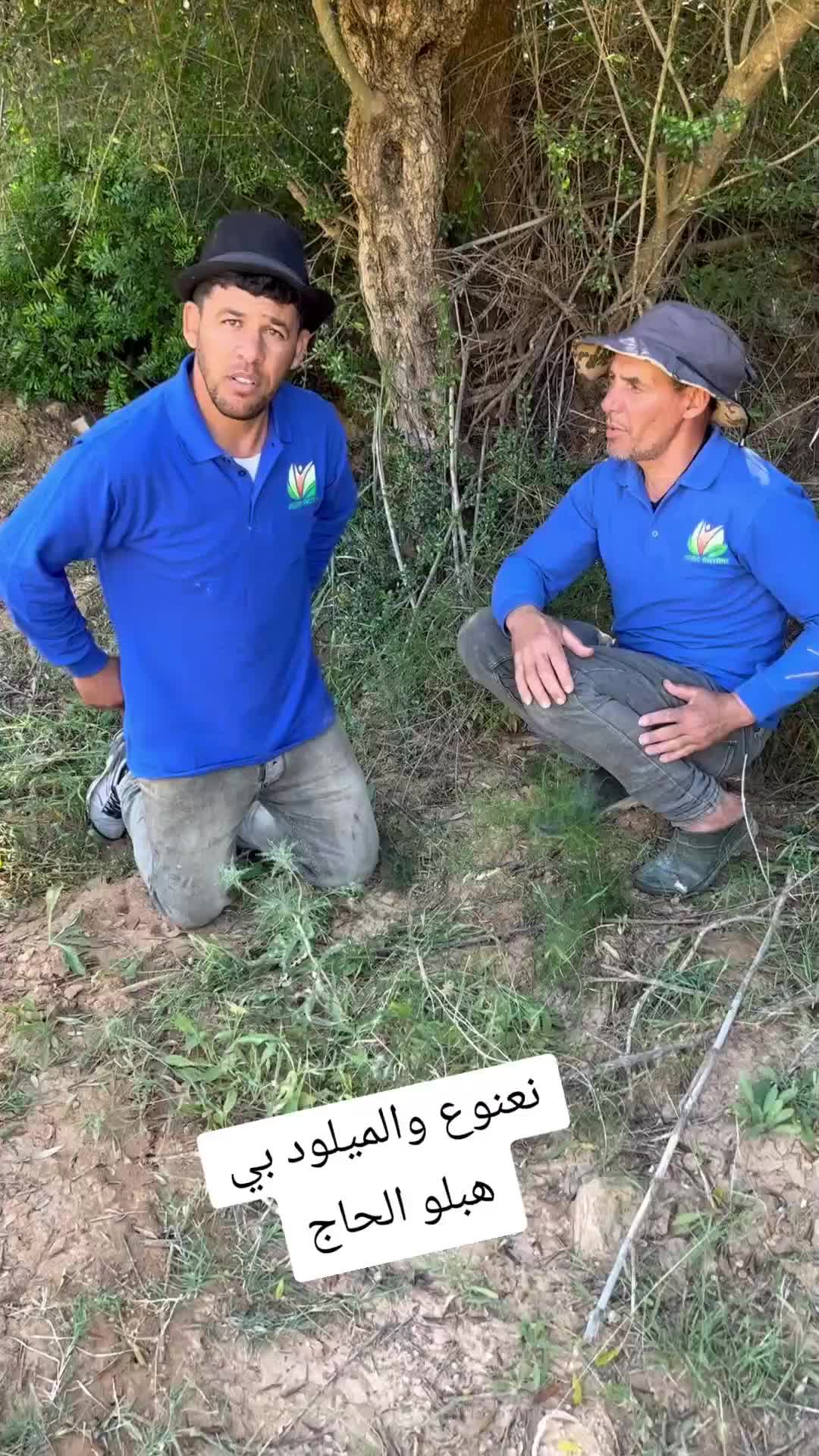@الحاج نعنوع