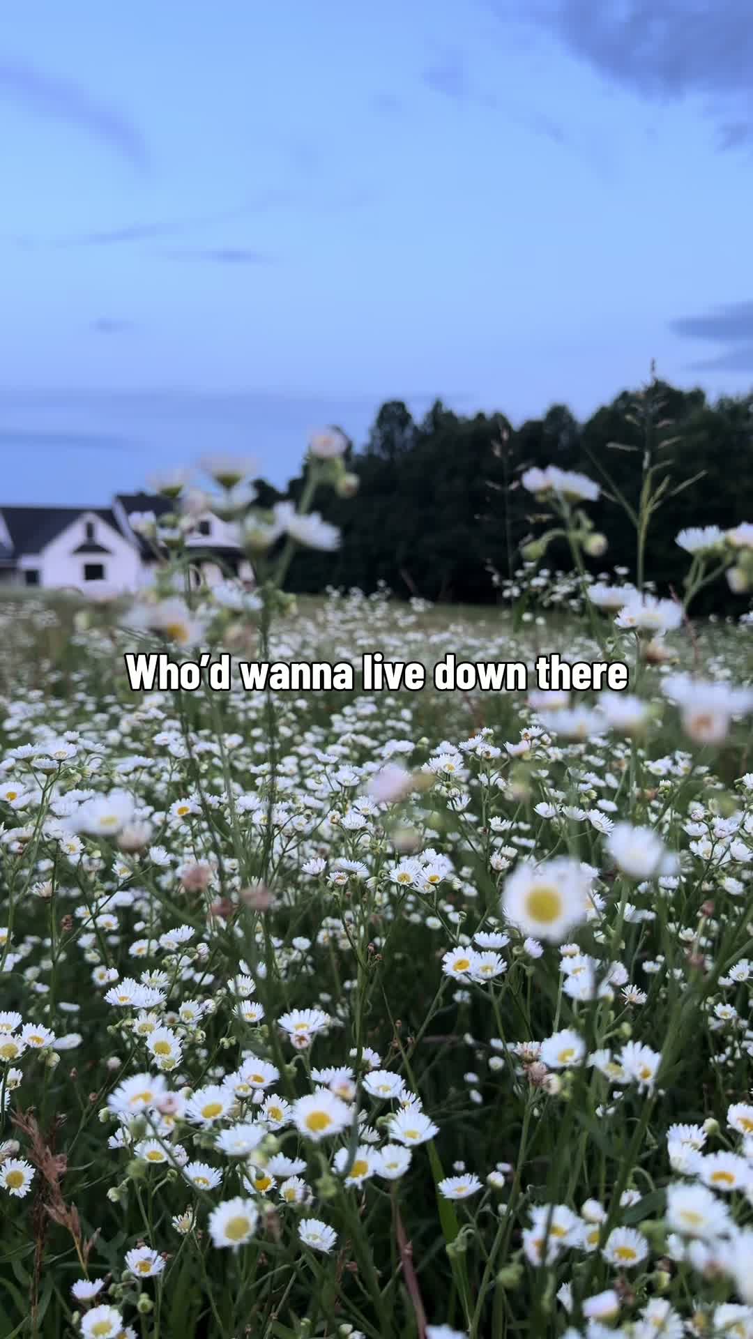 @Ally | Farm Wife