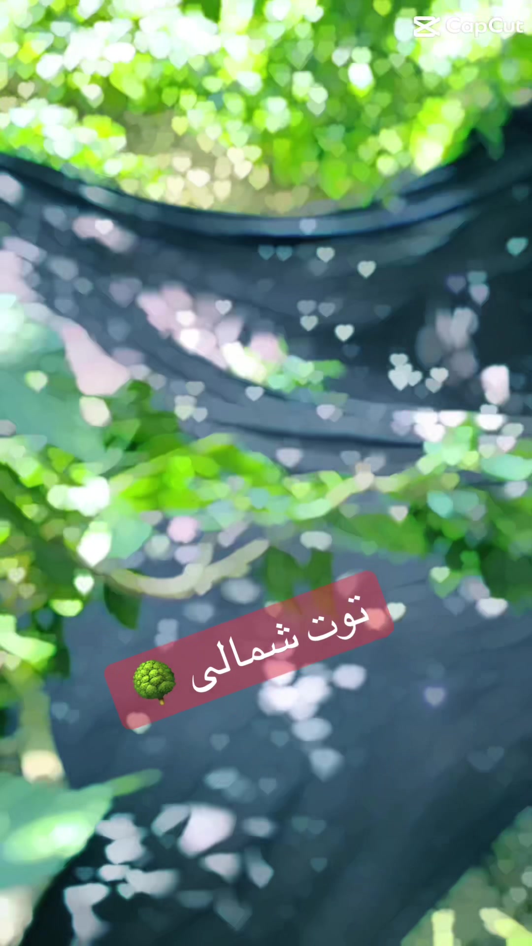 @Moudasir_hafizi