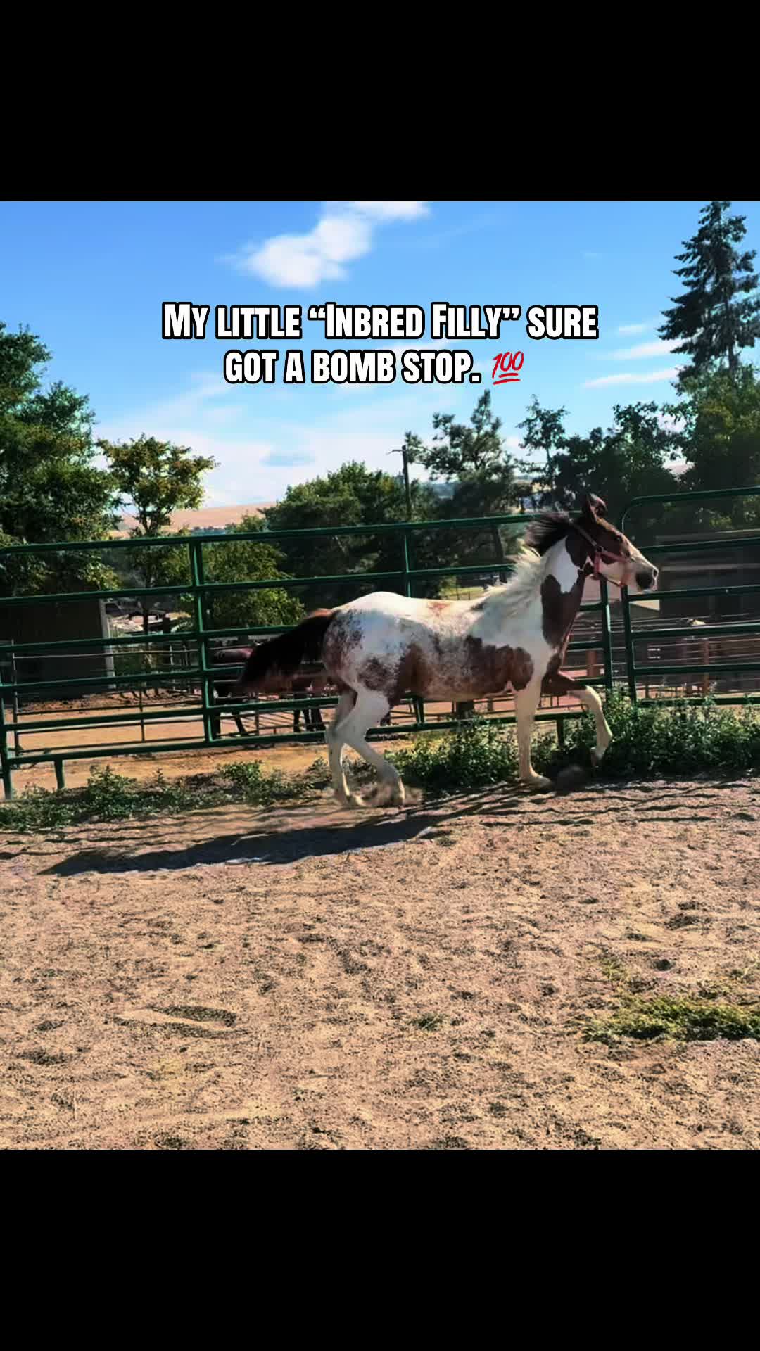 @Cowgirl Tuff Colt Training ❤️
