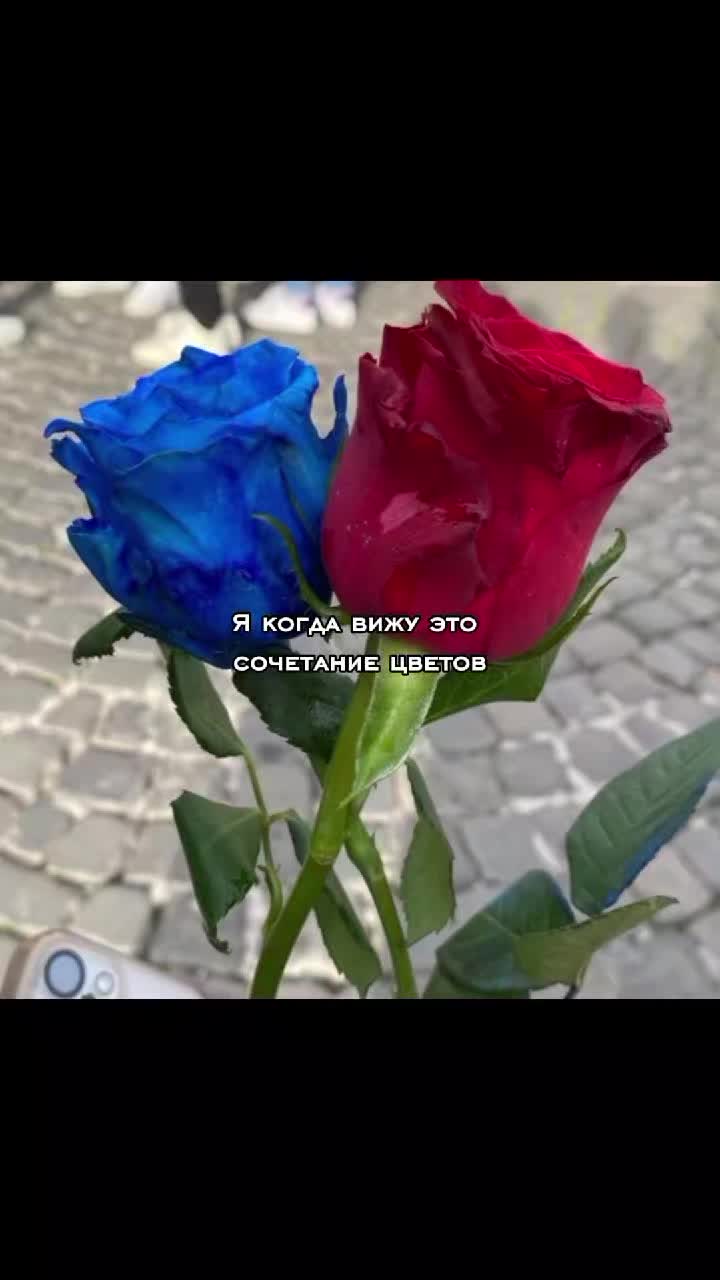 @lecter⁵⁵&sup3;
