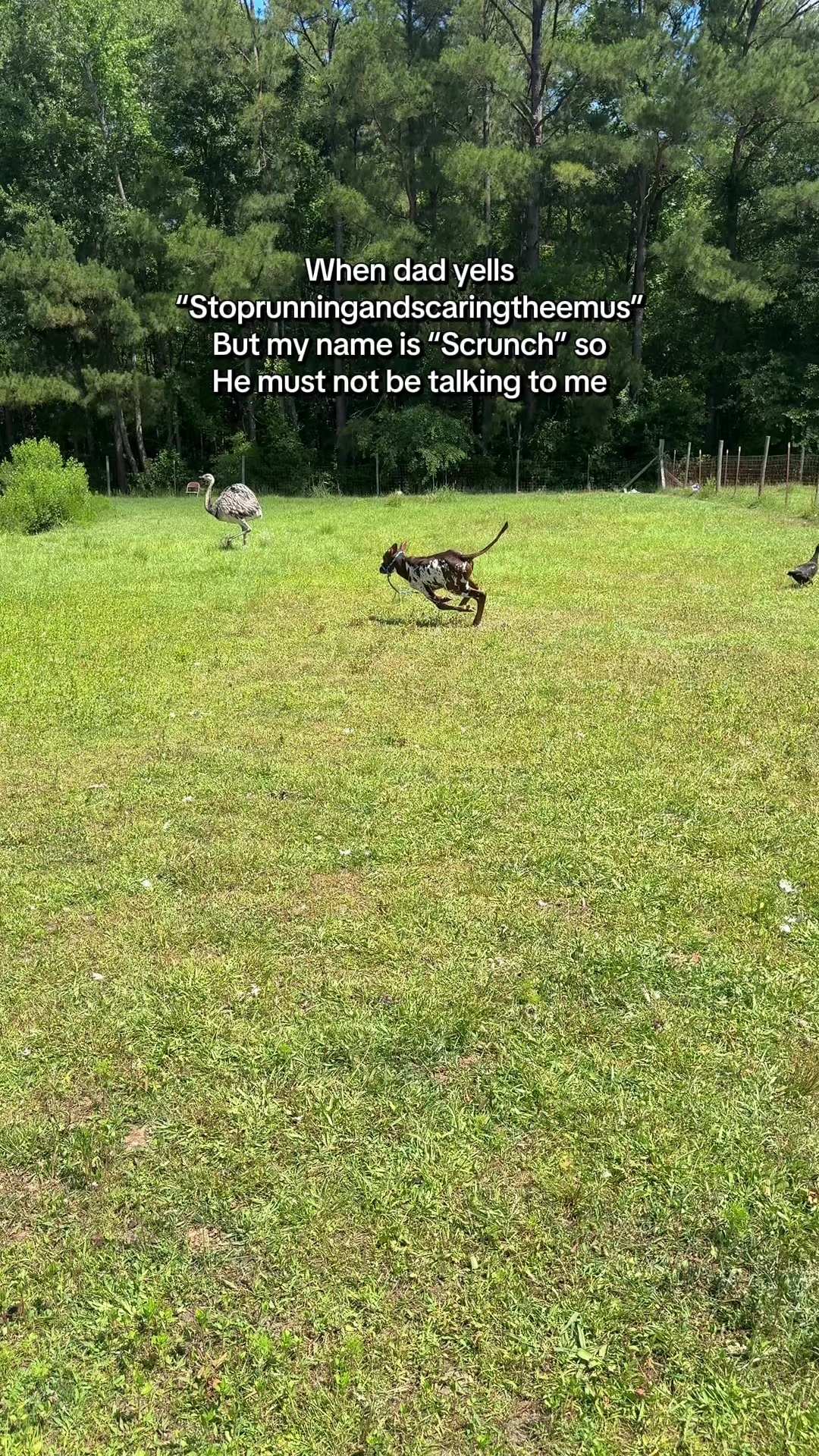 @TwoGuysandSomeLand
