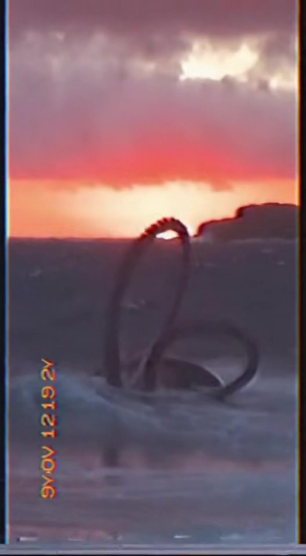 @Tenebris Contactum