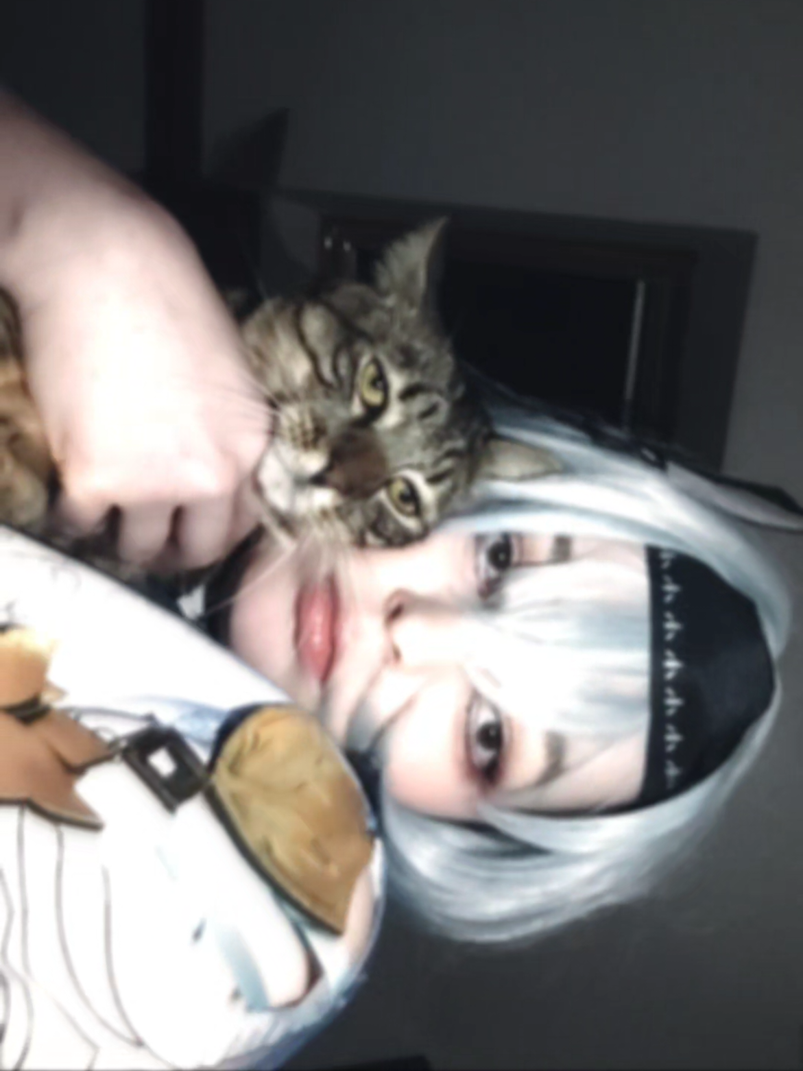 @Aecha🦭🤍