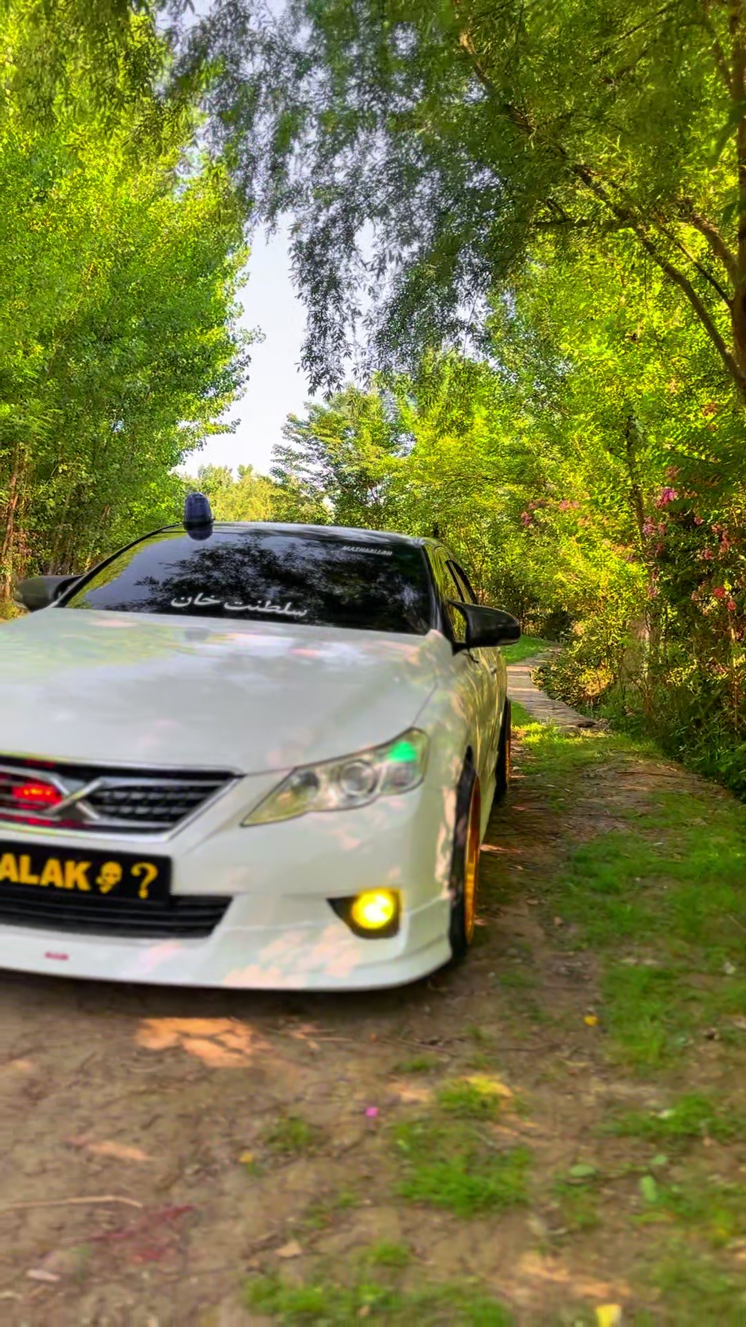 @Malak_01