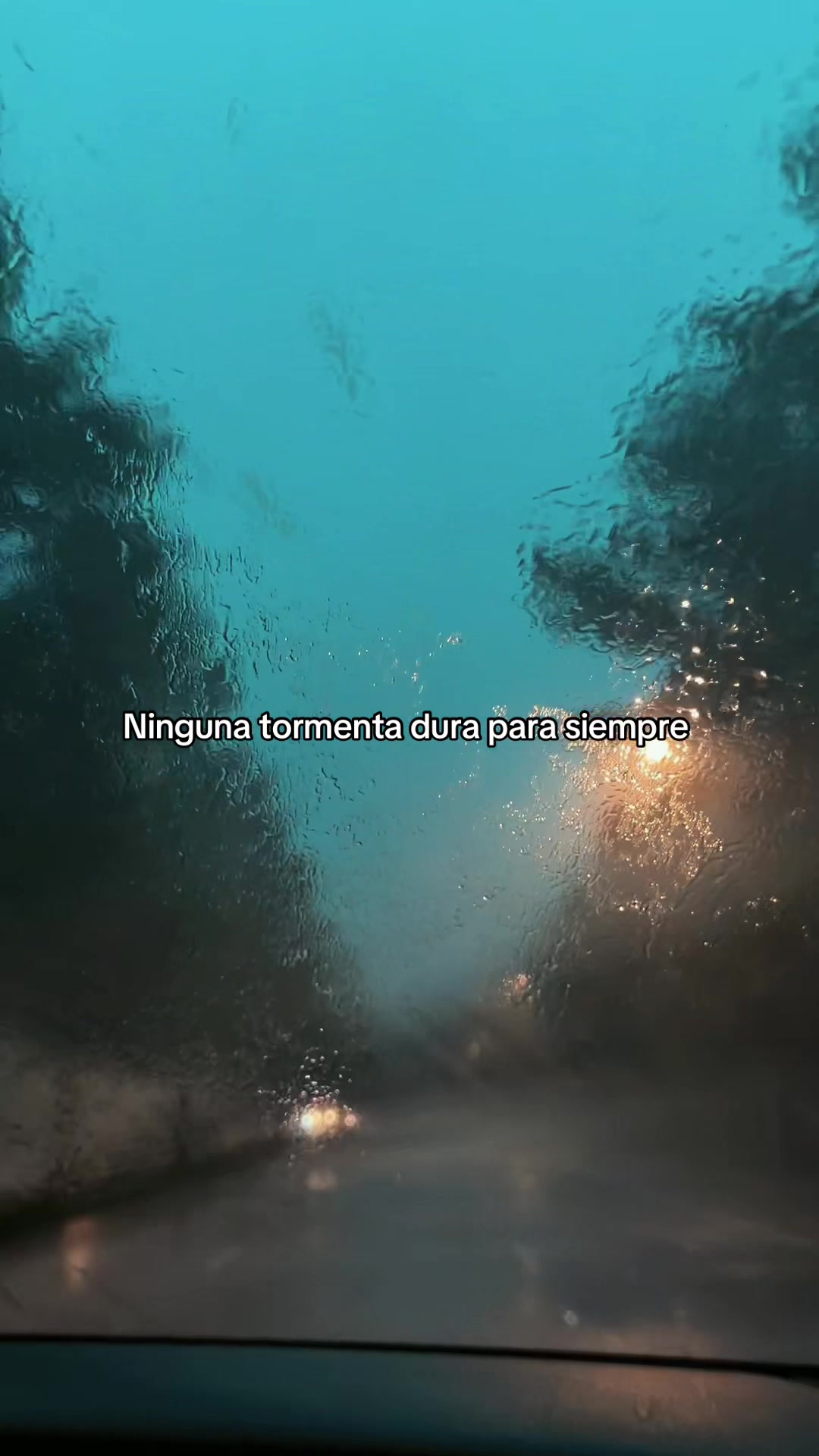 @hadadeletras